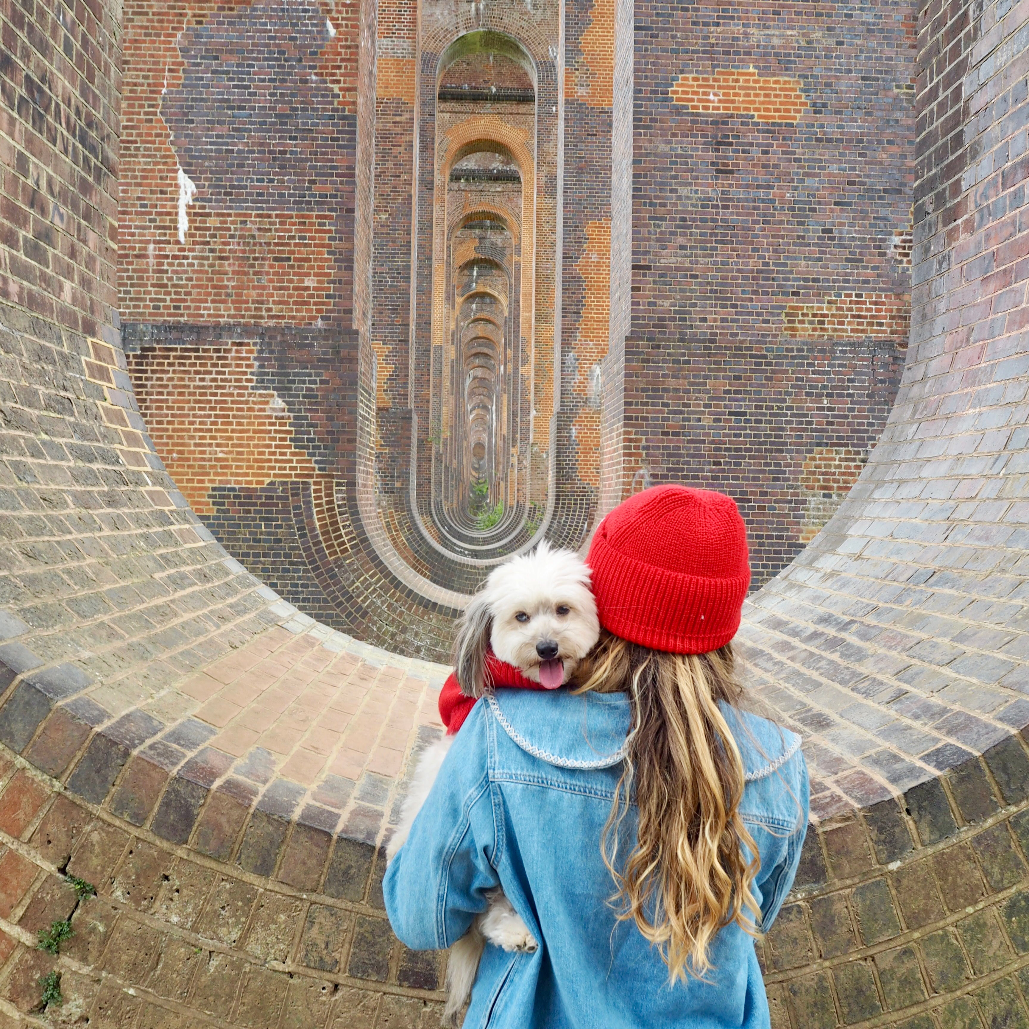 Orange dog jumper and matching human hat