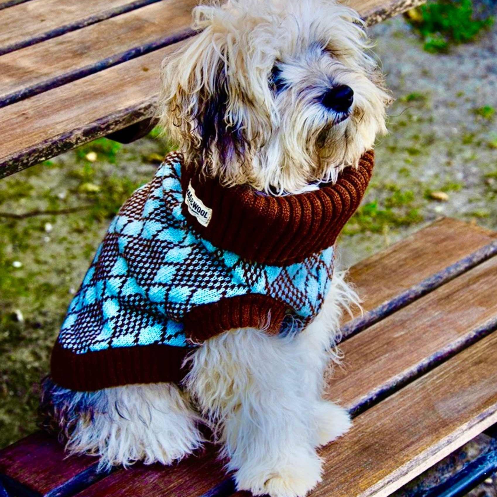 dO DOG JUMPERS KEEP DOGS WARM