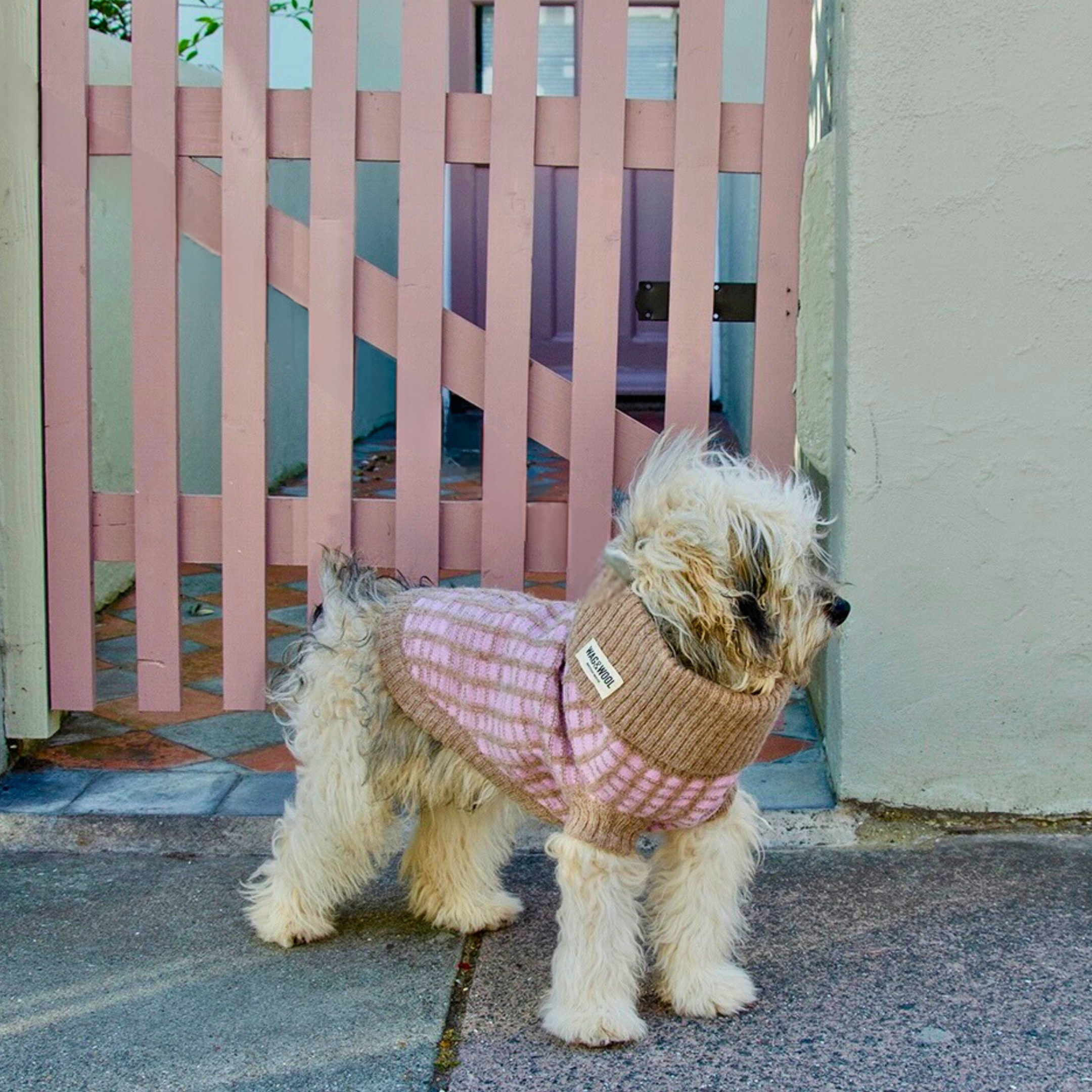 Heritage dog jumper