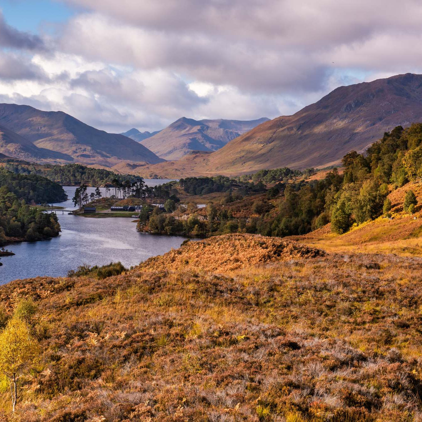 Stories Woven in Wool