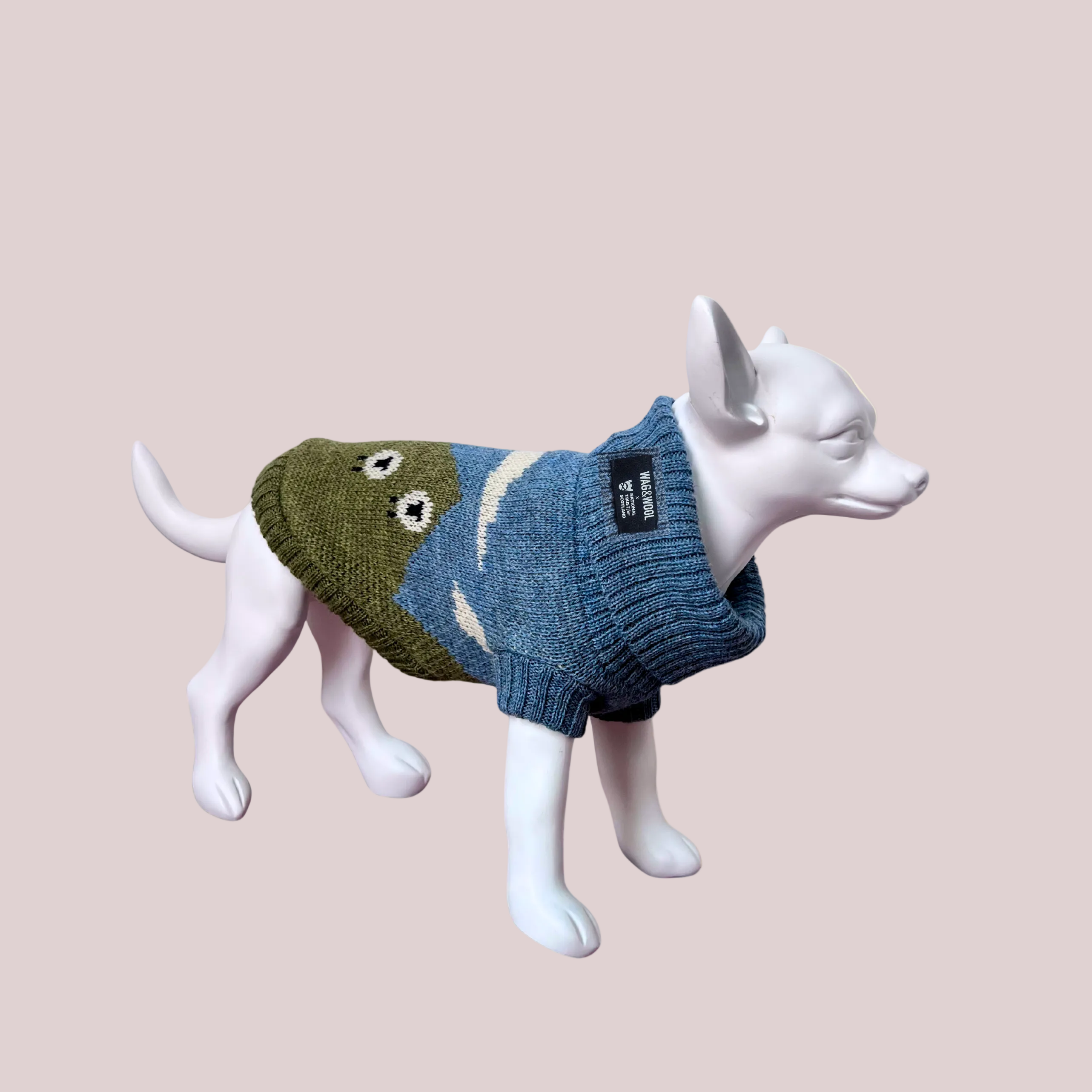 Dog wearing a green and blue sweater on a beige background