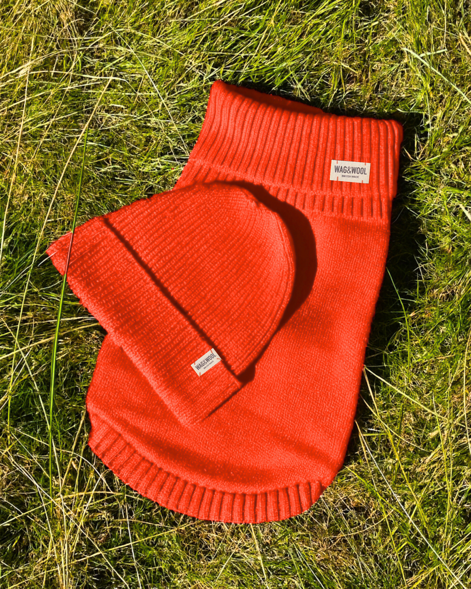 orange dog jumper and matching beanie hat