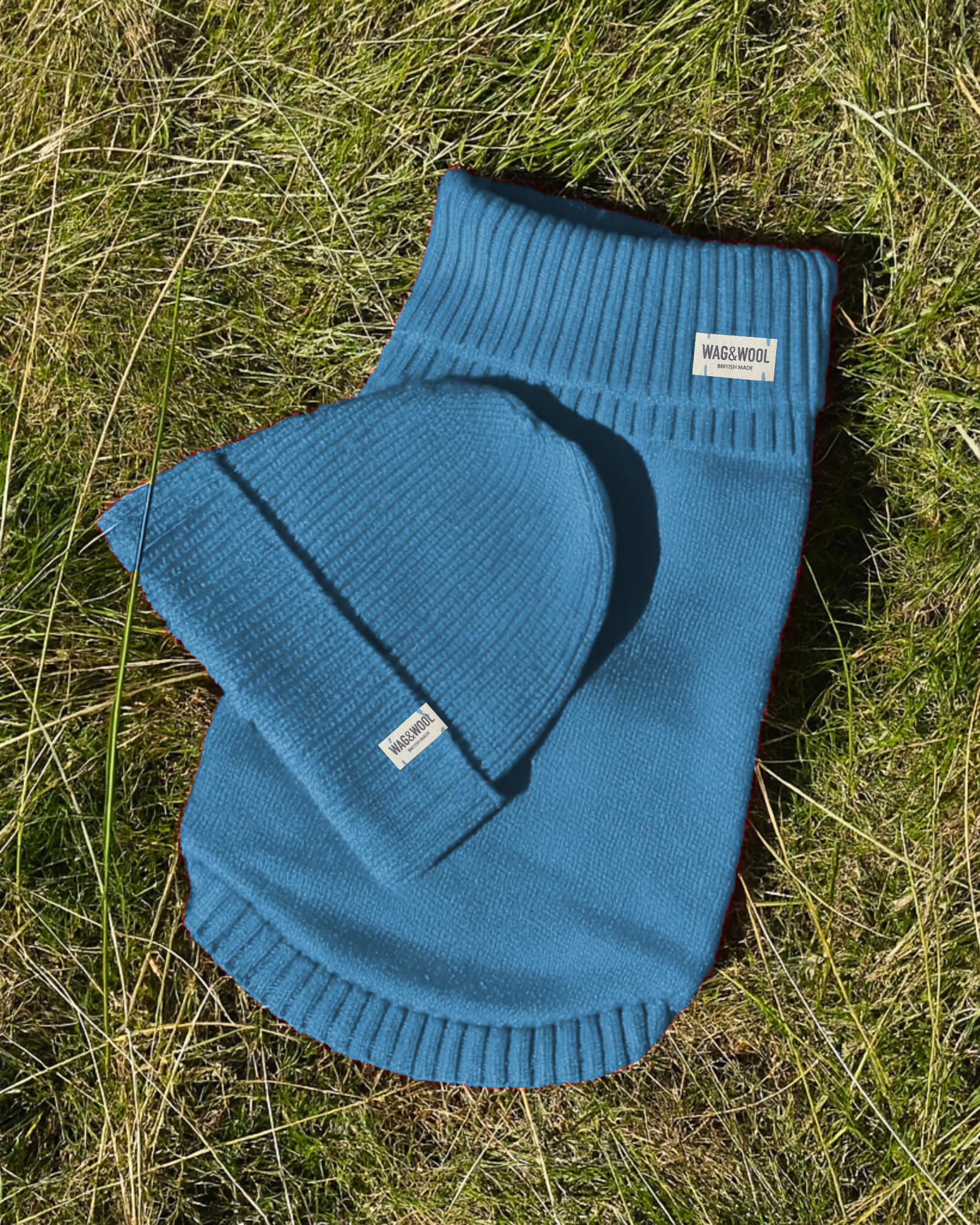 blue dog jumper and matching beanie hat