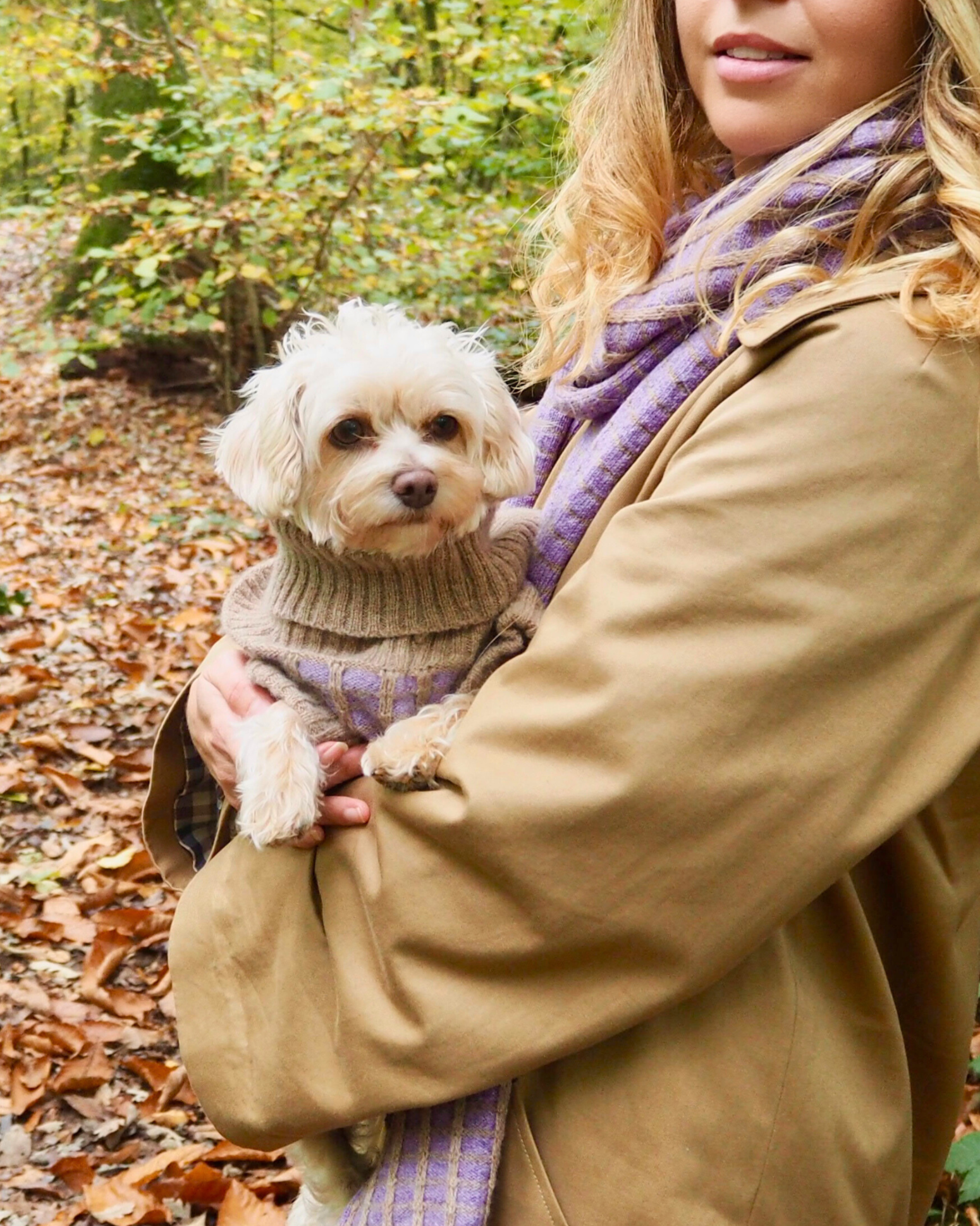 matching dog gift in purple