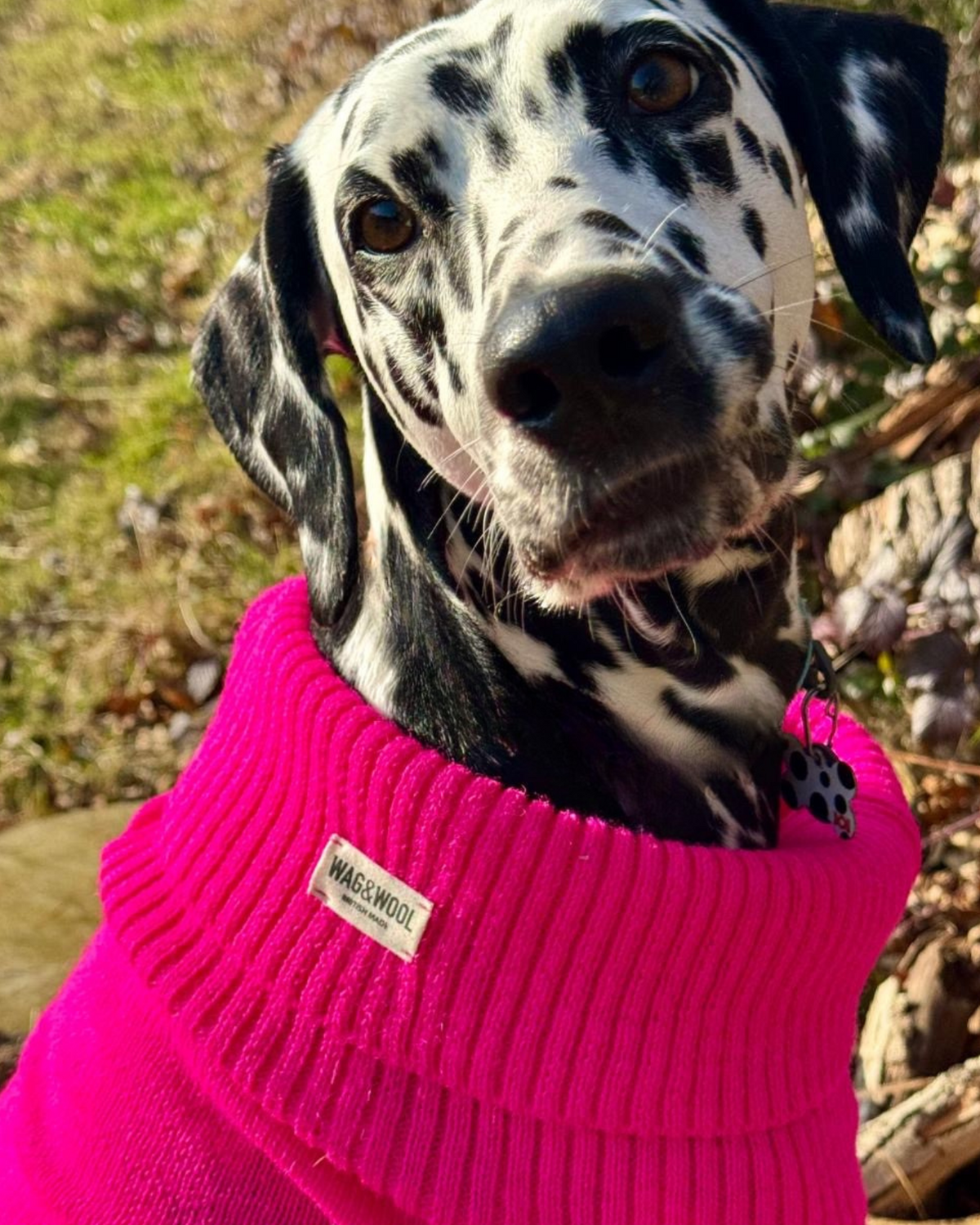 extra large hot pink dog jumper