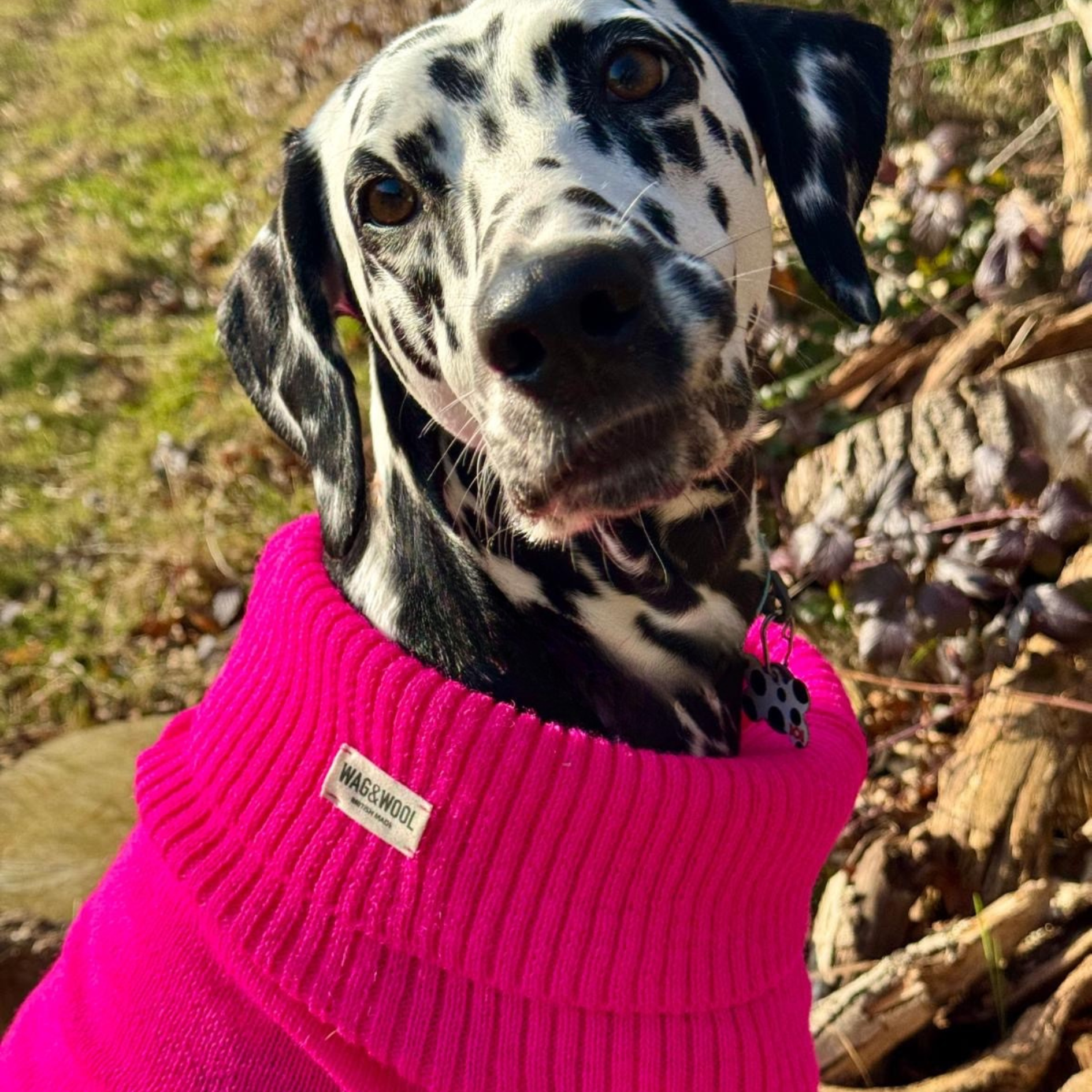 extra large hot pink dog jumper