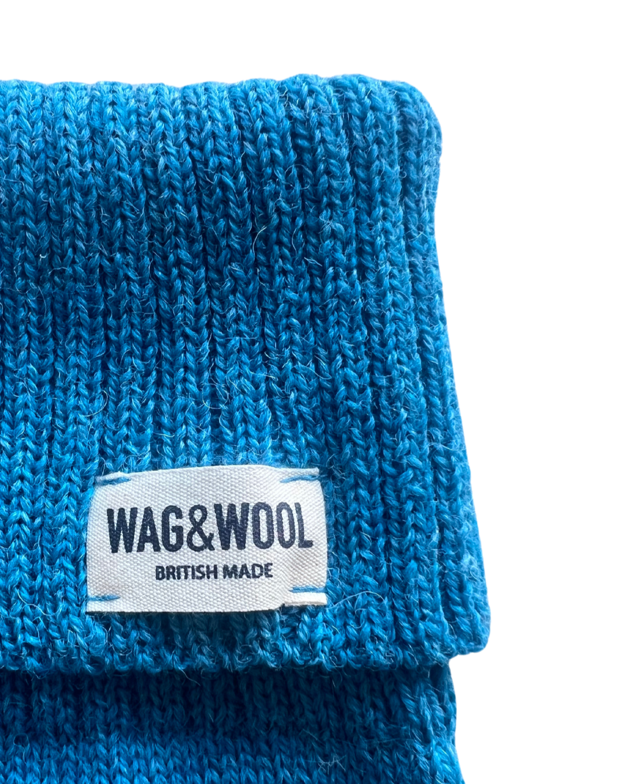 blue dog jumper close up