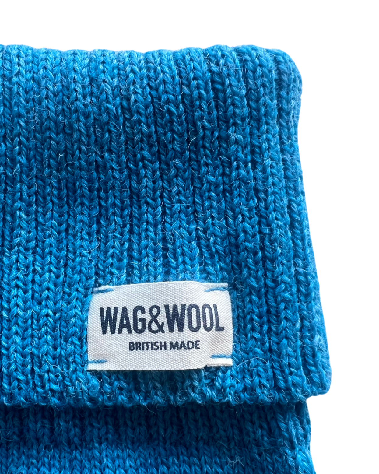 blue dog jumper close up