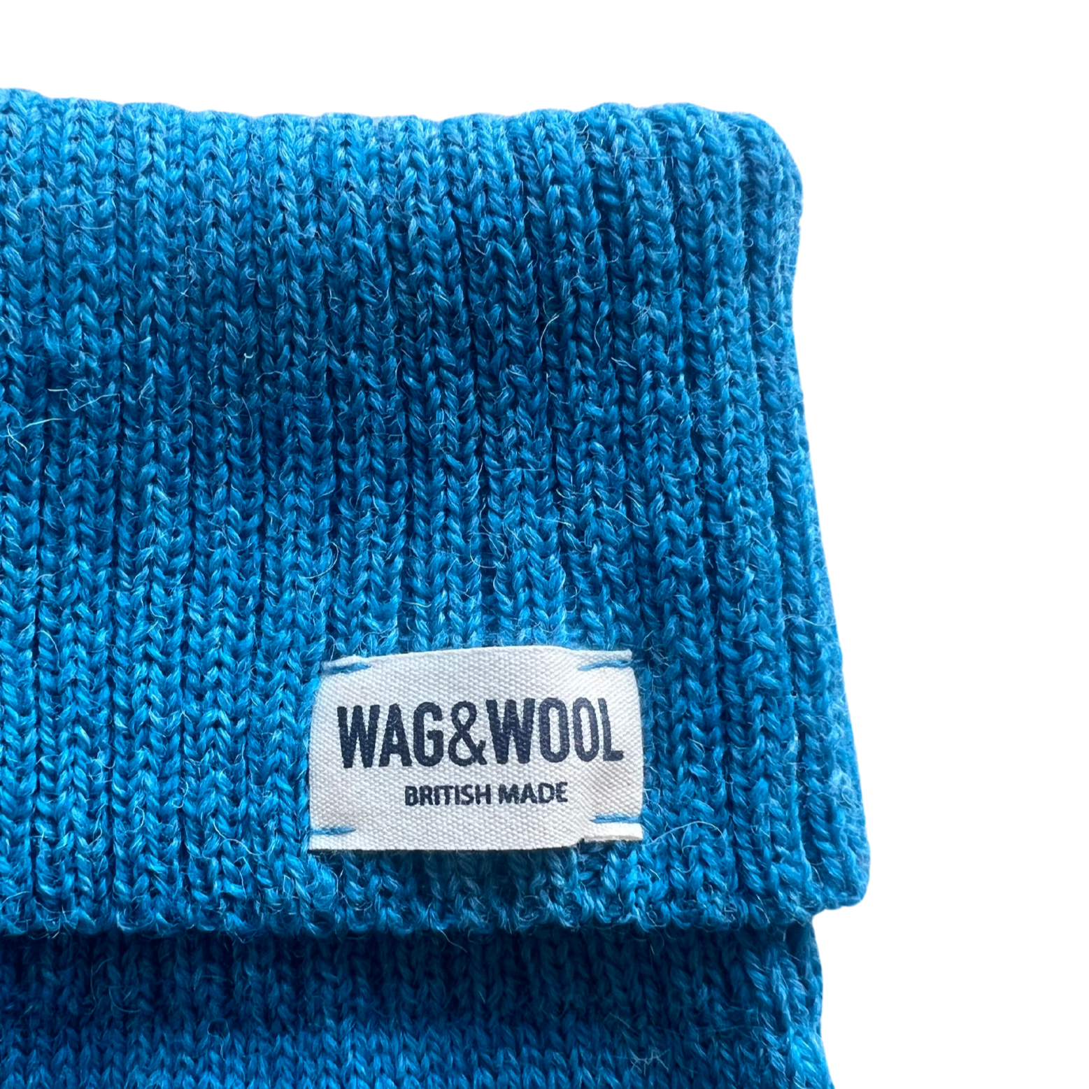 blue dog jumper close up