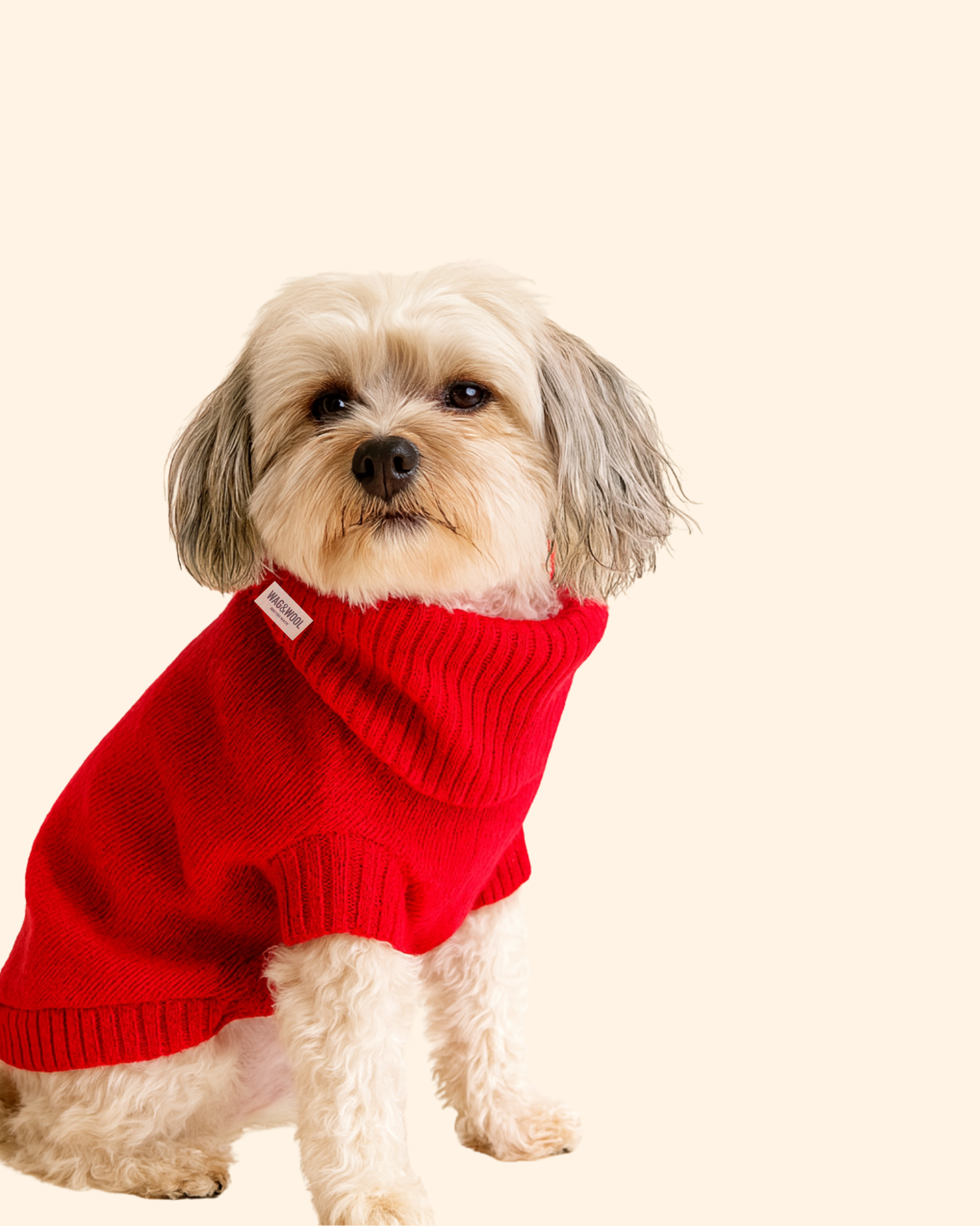 cherry red dog jumper