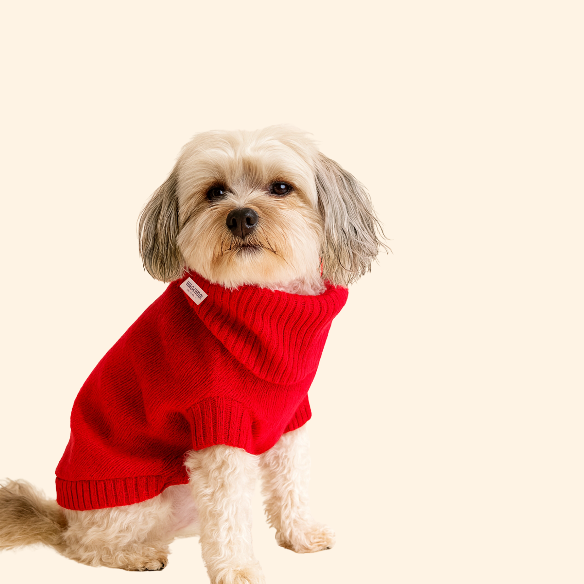 cherry red dog jumper