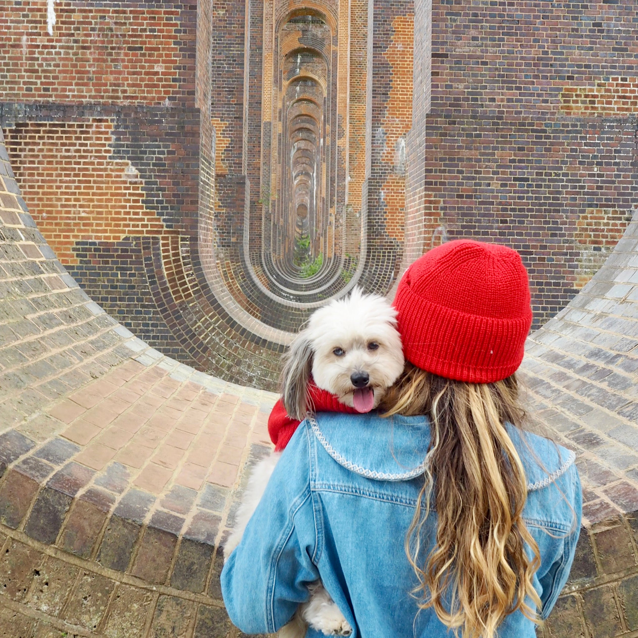 red knitted hat in british wool