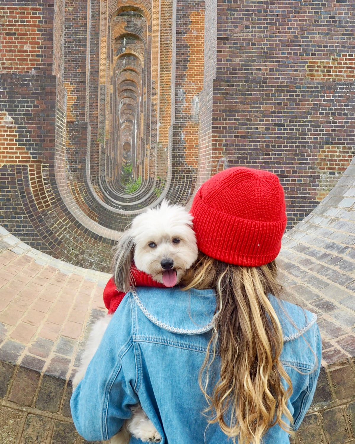 red knitted hat in british wool