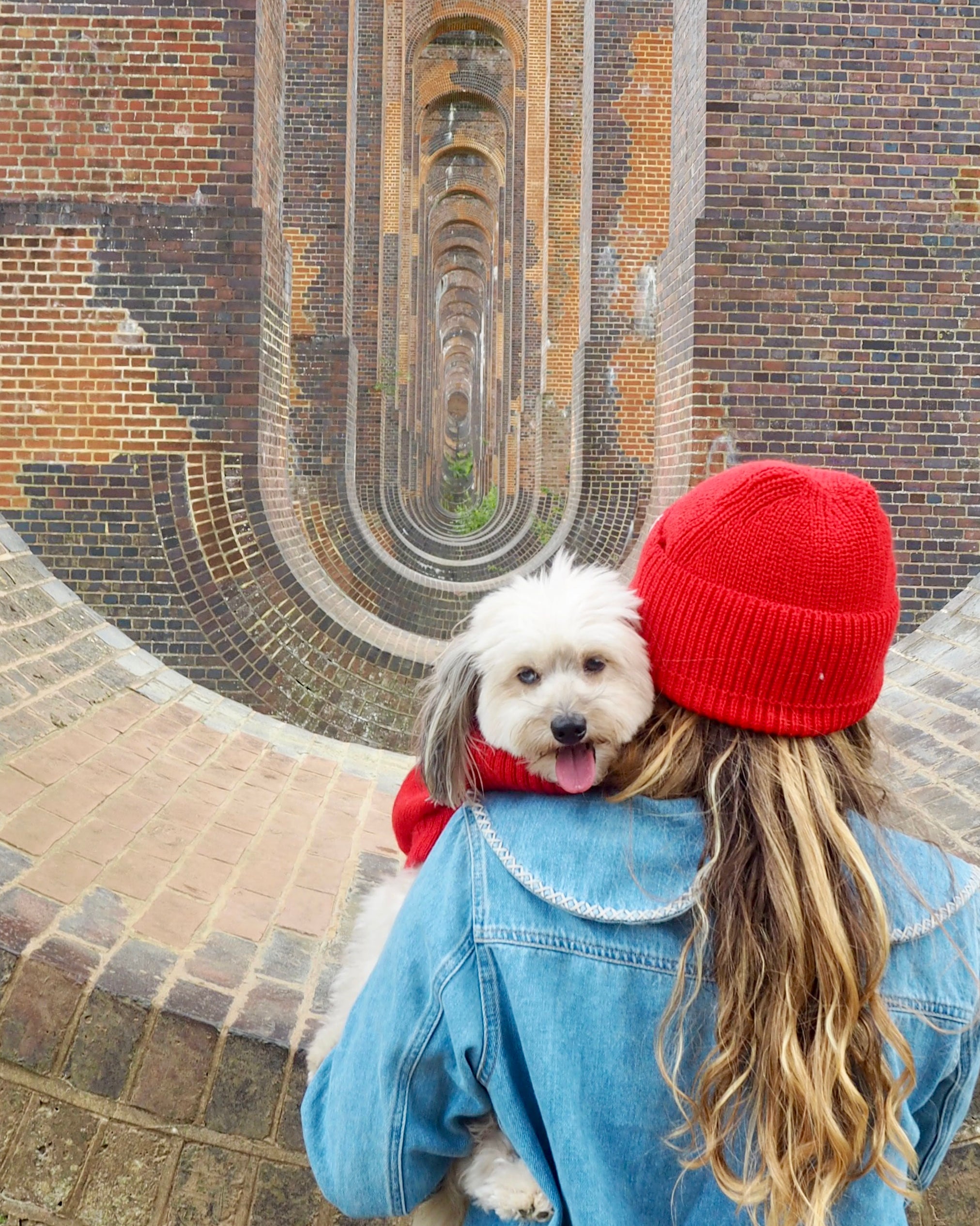 red knitted hat in british wool