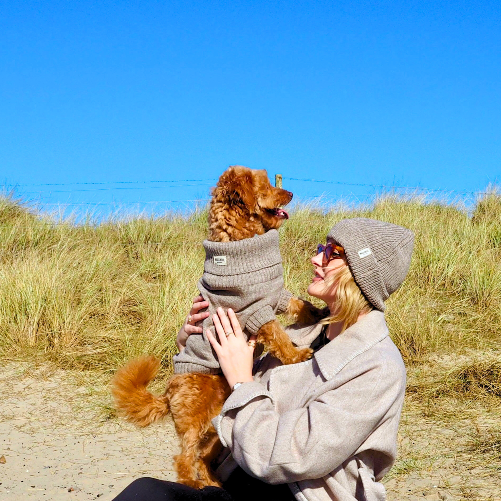 oatmeal dog jumper and matching beanie hat