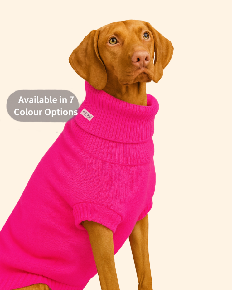 extra large wool dog jumper