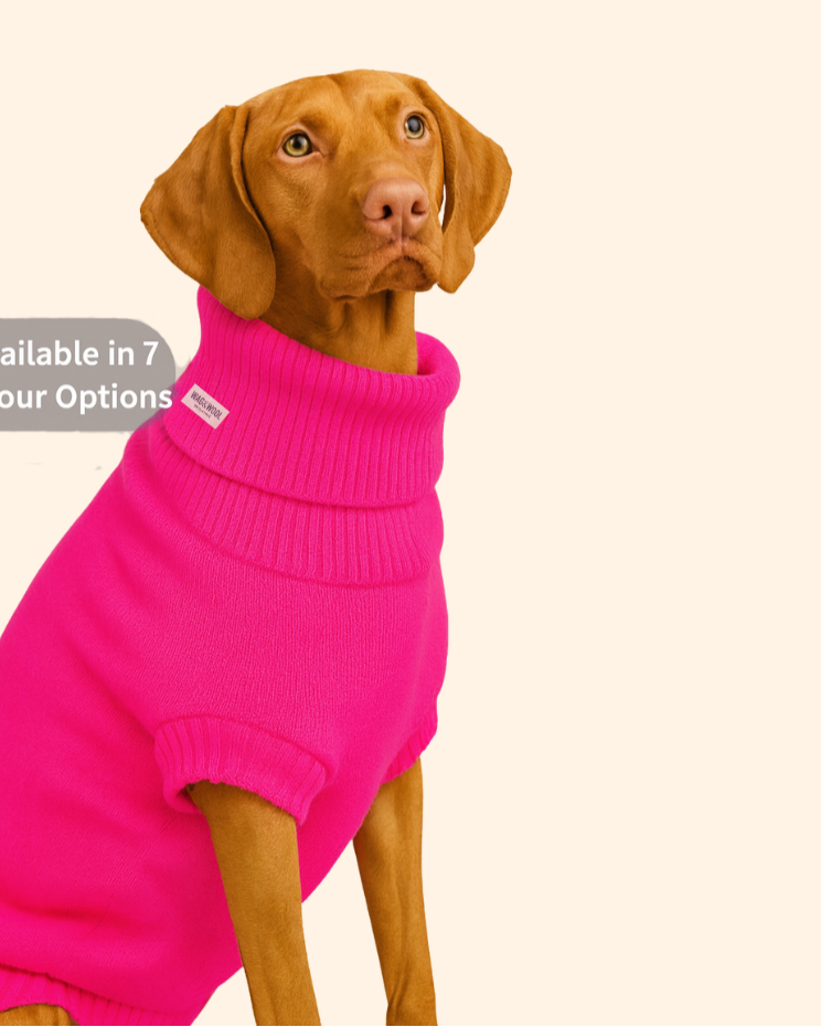 extra large wool dog jumper