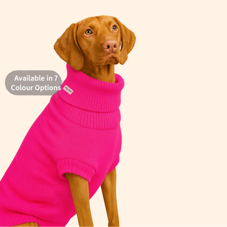 extra large wool dog jumper