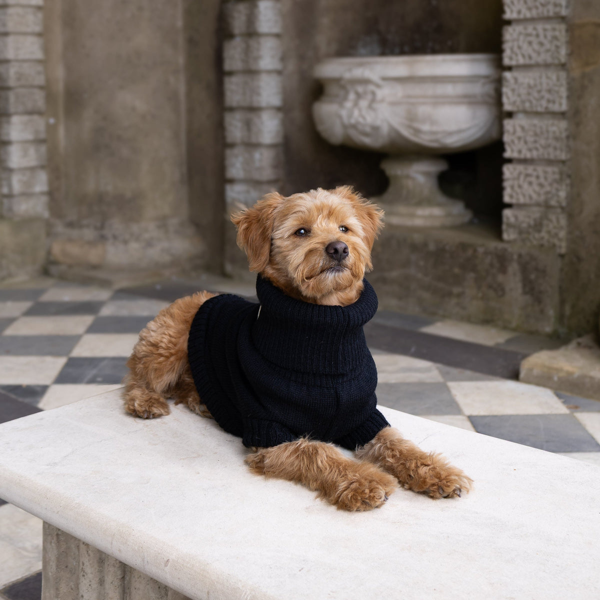 A small brown dog wearing a black turtleneck sweater lies on a white stone bench in an outdoor stone courtyard with arches and a black-and-white checkered floor.