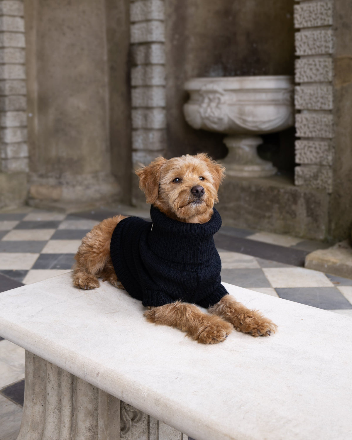 A small brown dog wearing a black turtleneck sweater lies on a white stone bench in an outdoor stone courtyard with arches and a black-and-white checkered floor.