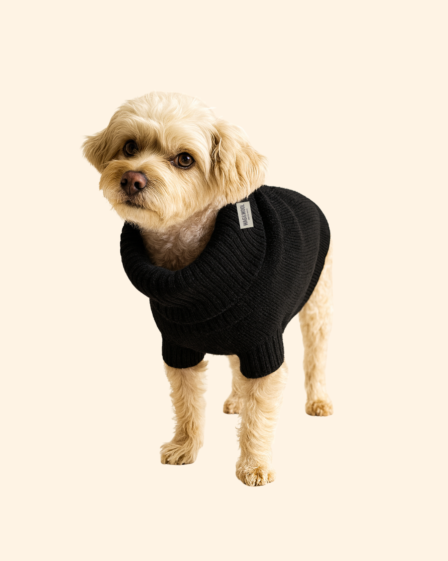 black wool dog jumper