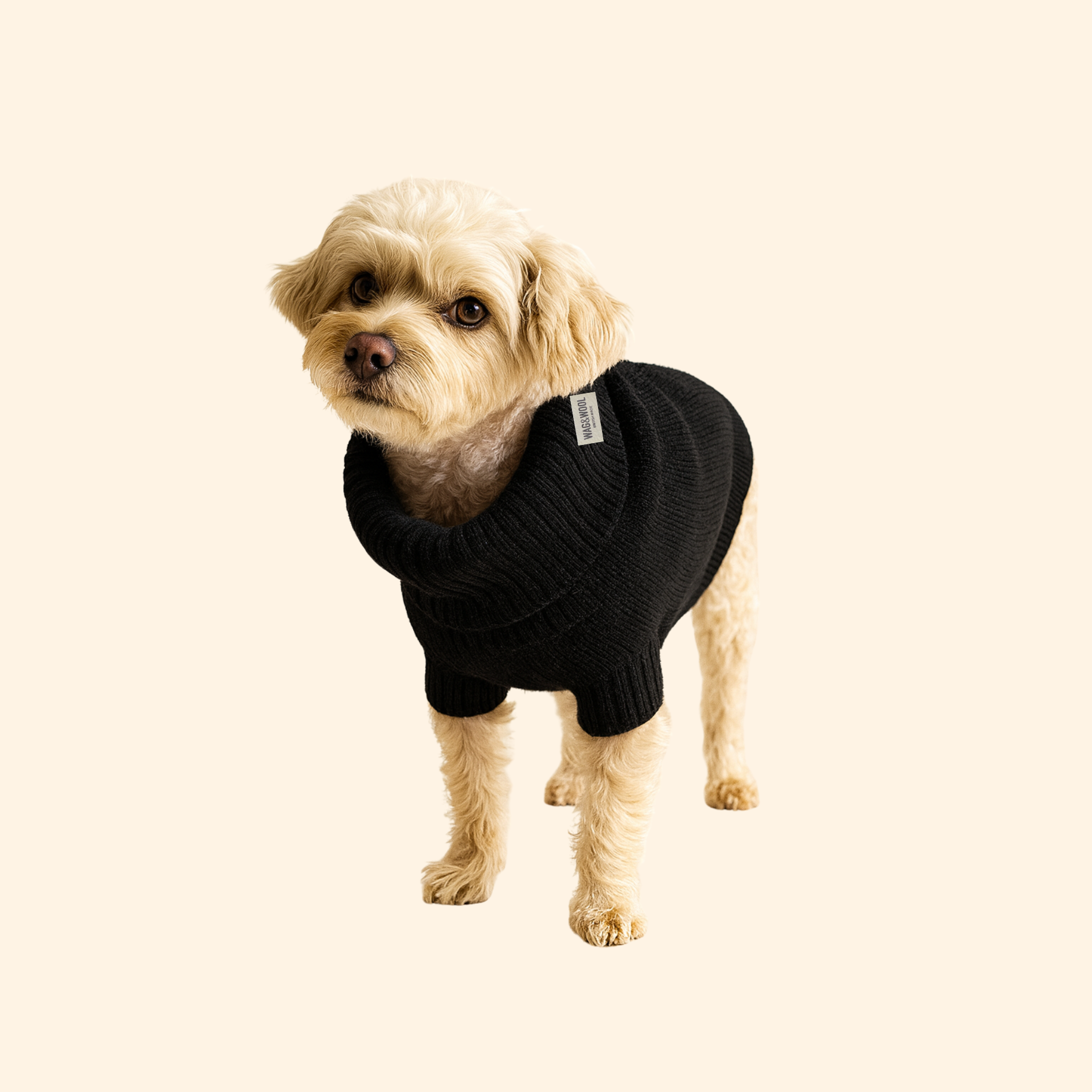 black wool dog jumper