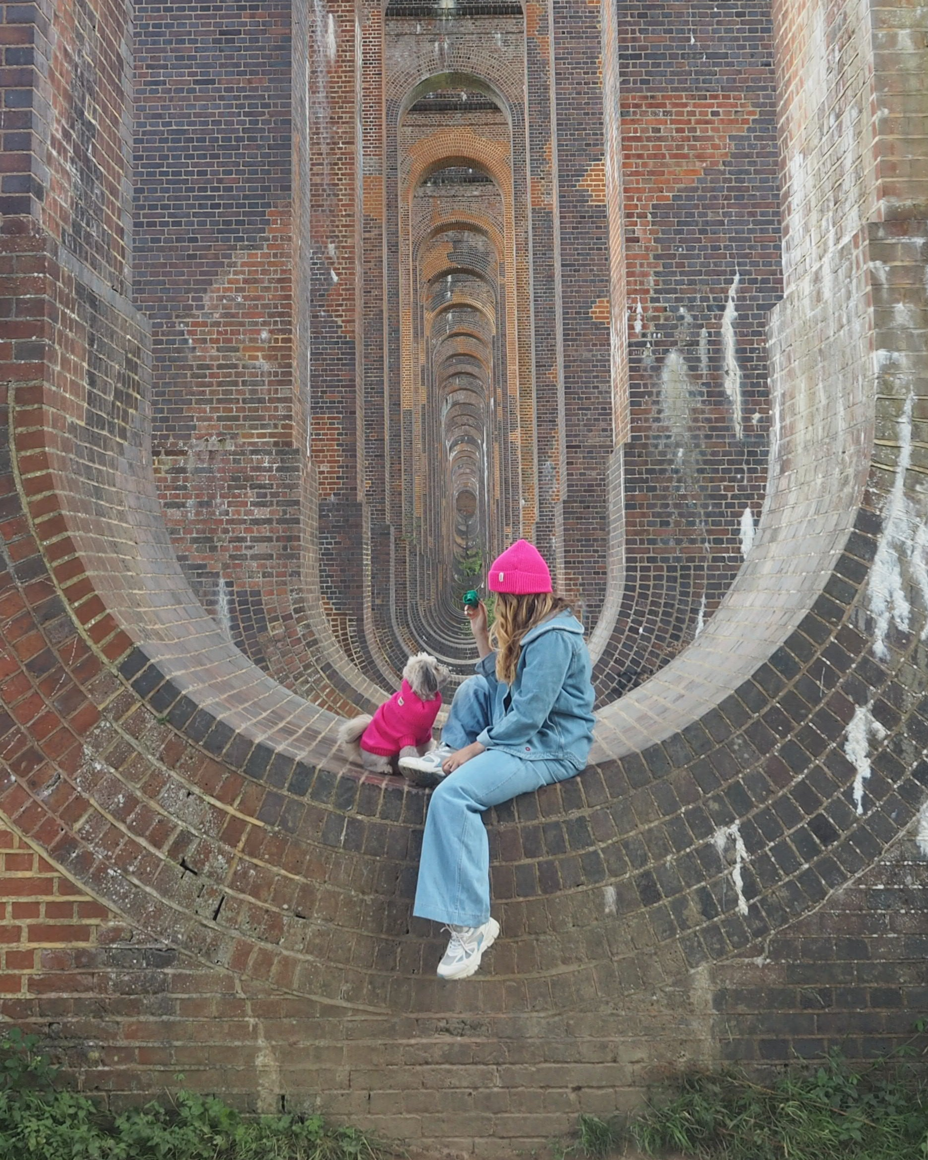 Matching dog and owner