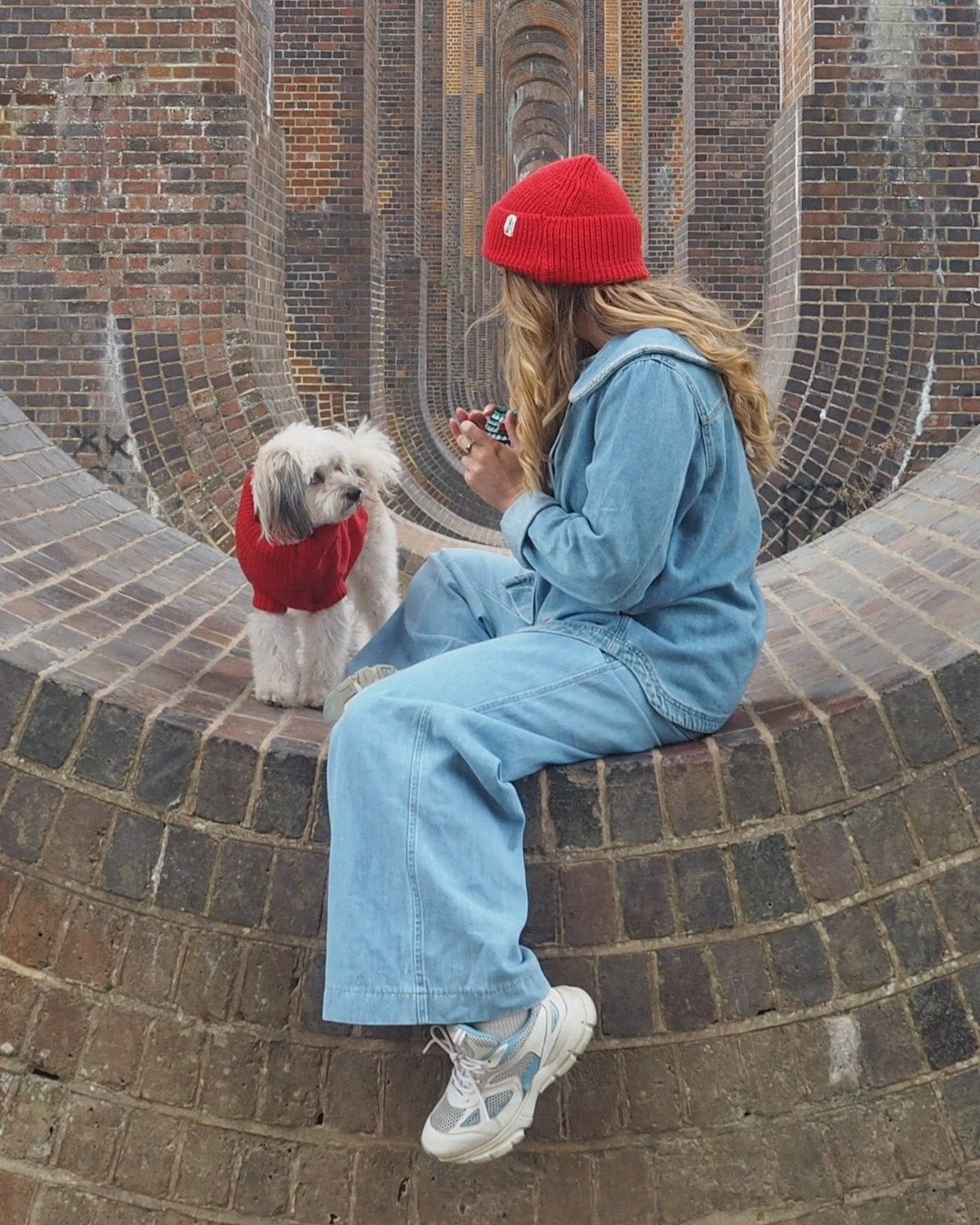 A person sitting on a brick structure with a small dog wearing a matching cherry red wool jumper.