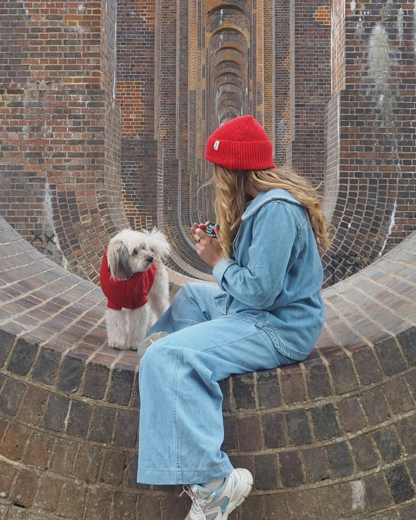 A person sitting on a brick structure with a small dog wearing a matching cherry red wool jumper.
