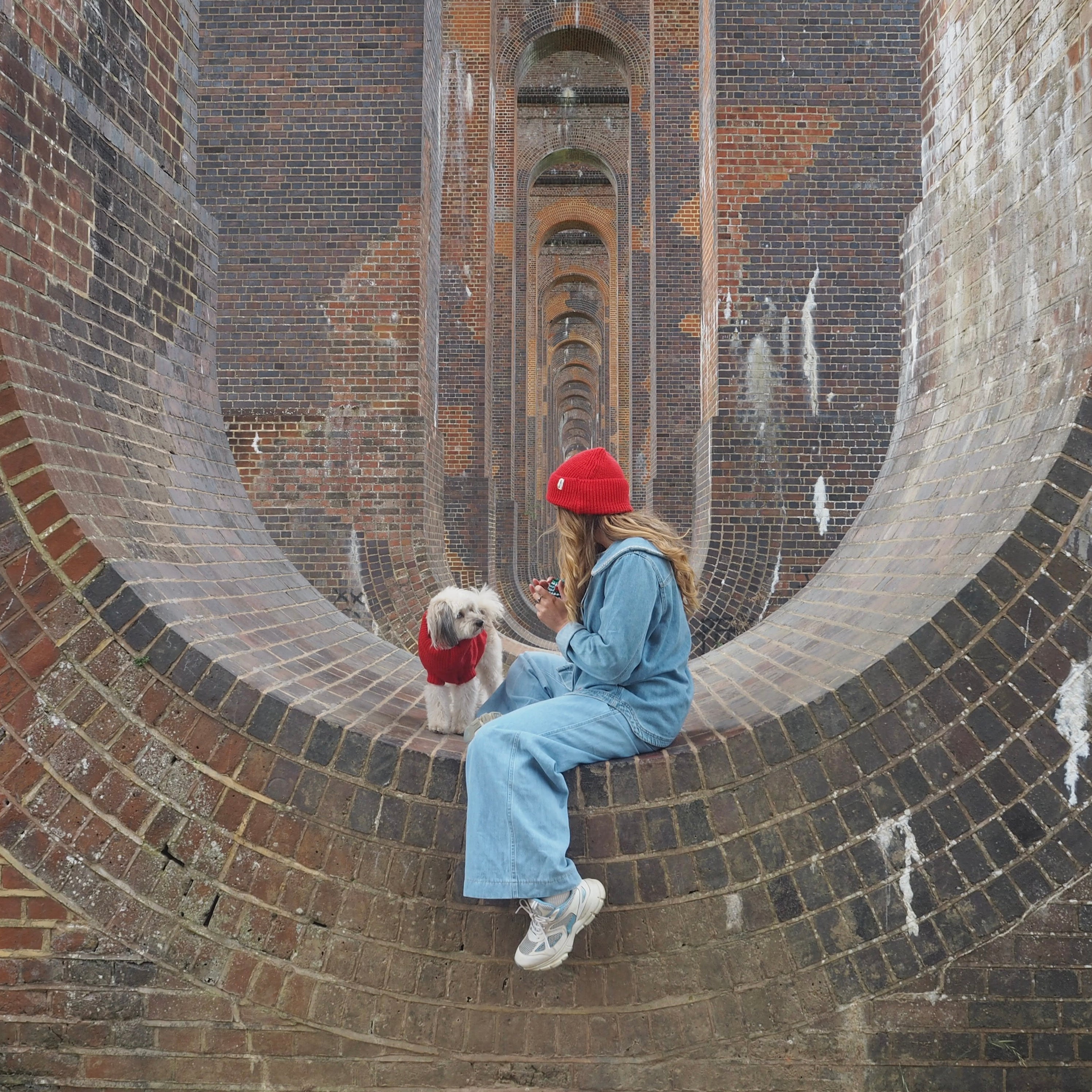 Luxury gifts for dogs