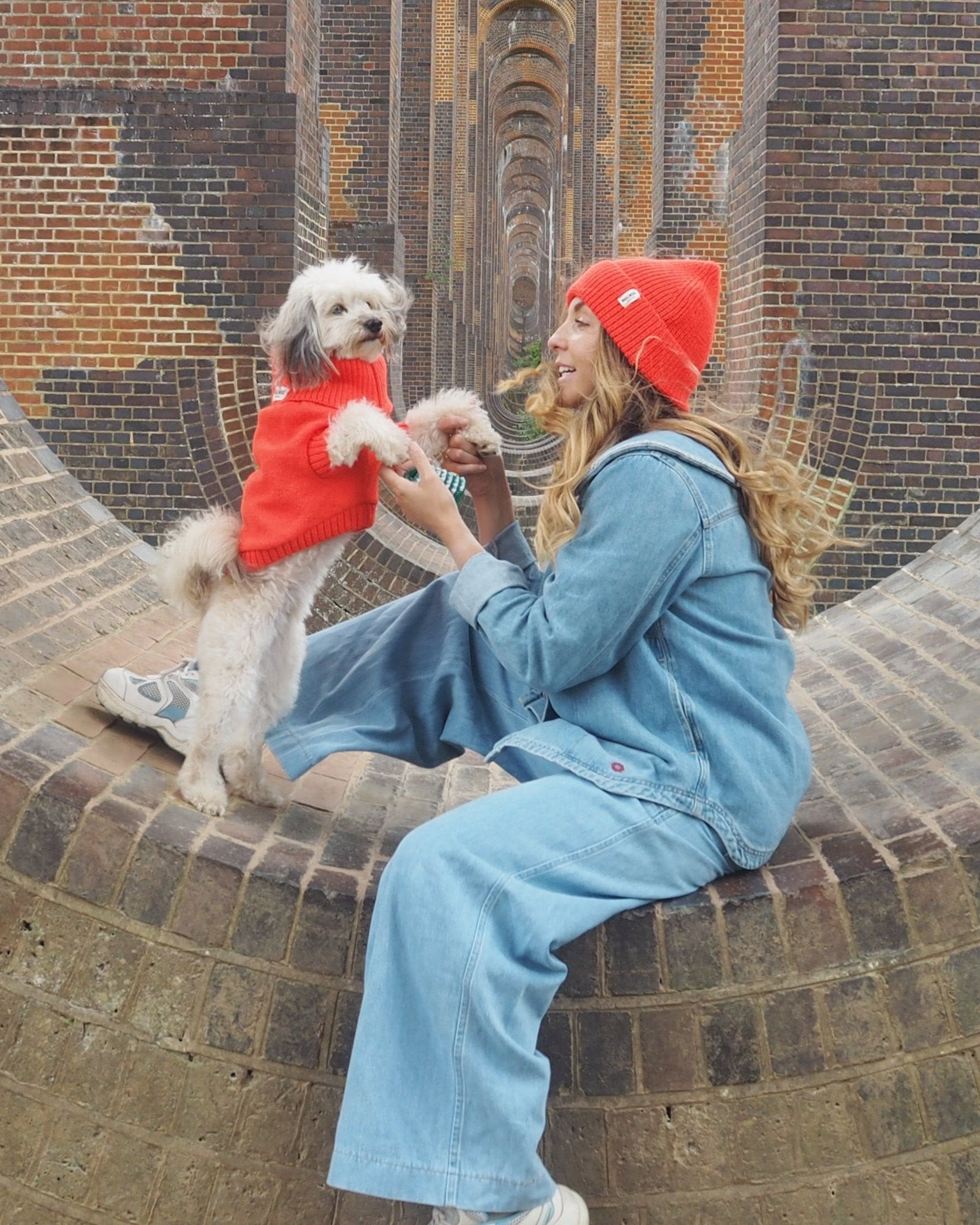 A person sitting on a brick structure with a small dog on their lap, both wearing matching lava orange jumpers.
