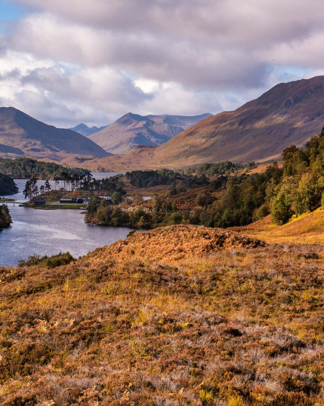 Scenic view of a lake surrounded by mountains and autumn-colored hills.