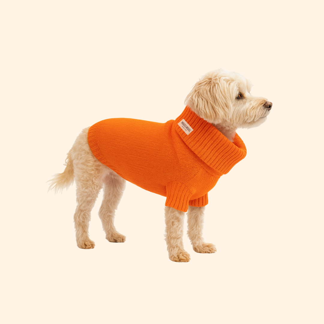 lava orange british wool dog jumper