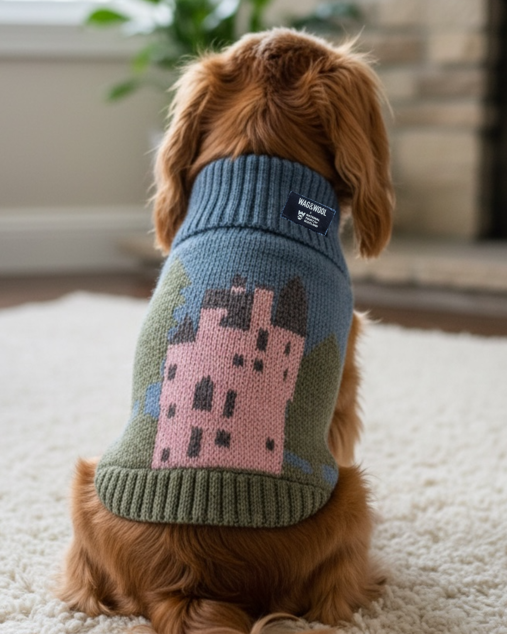 Dog wearing a sweater with a castle design, sitting on a carpeted floor.