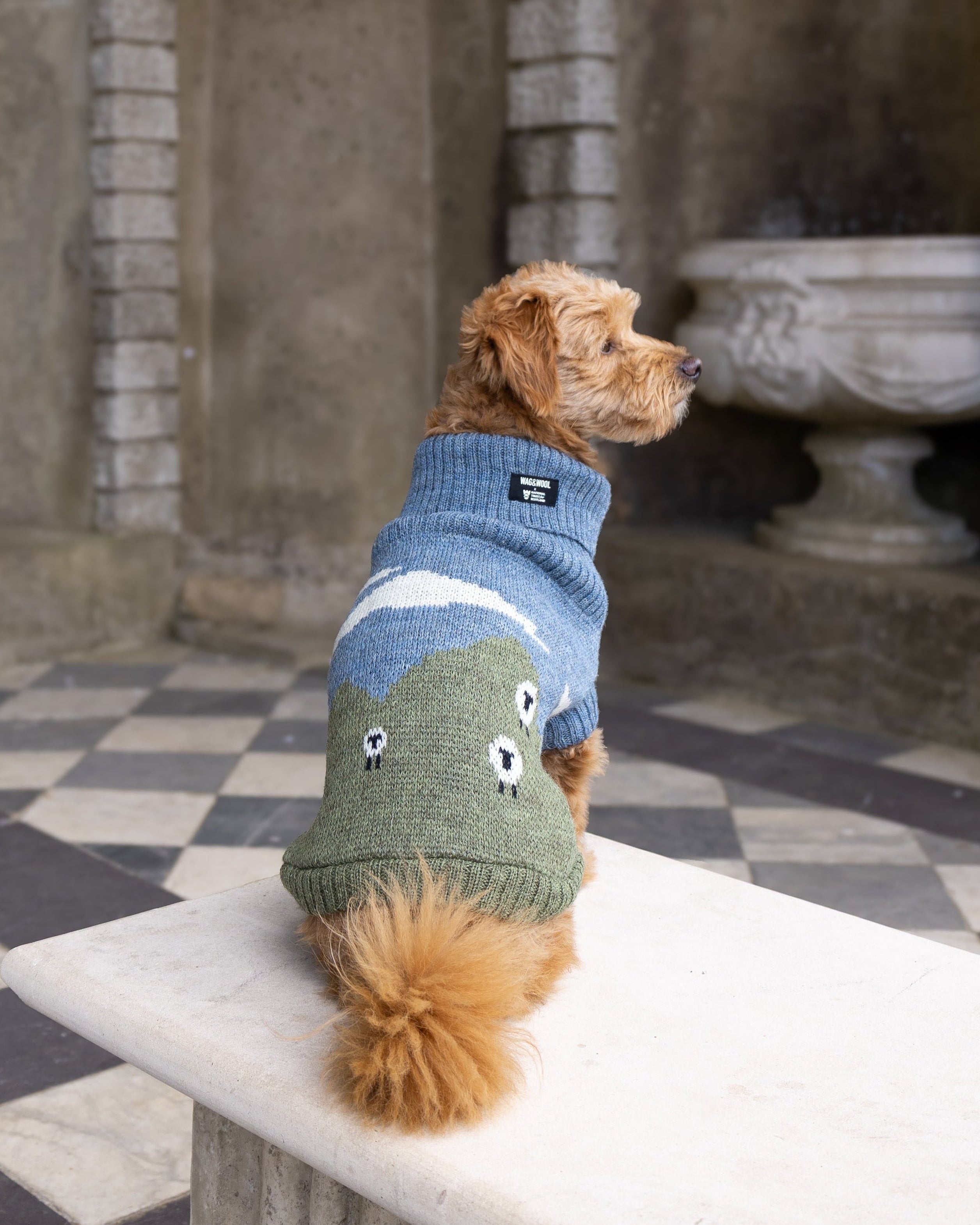 A small dog sits on a stone bench in a historic stone courtyard, wearing a knitted pet sweater