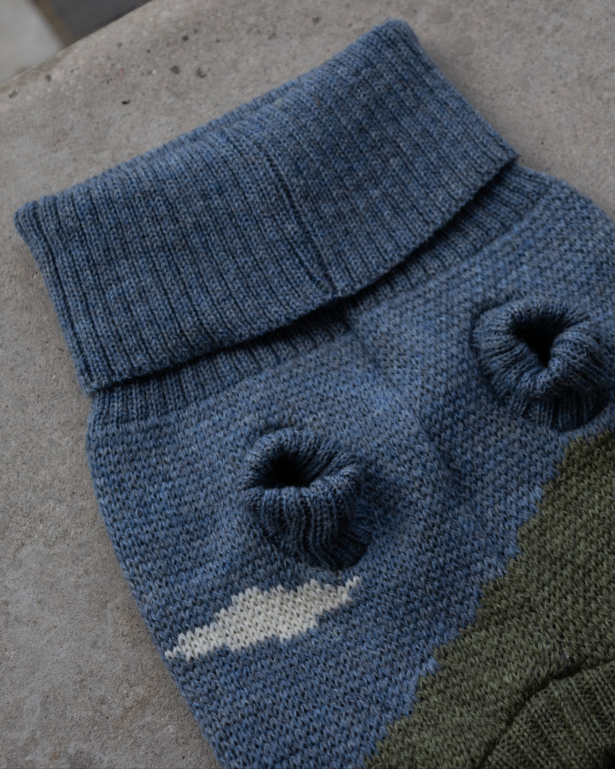 close up of a dog jumper flat lay