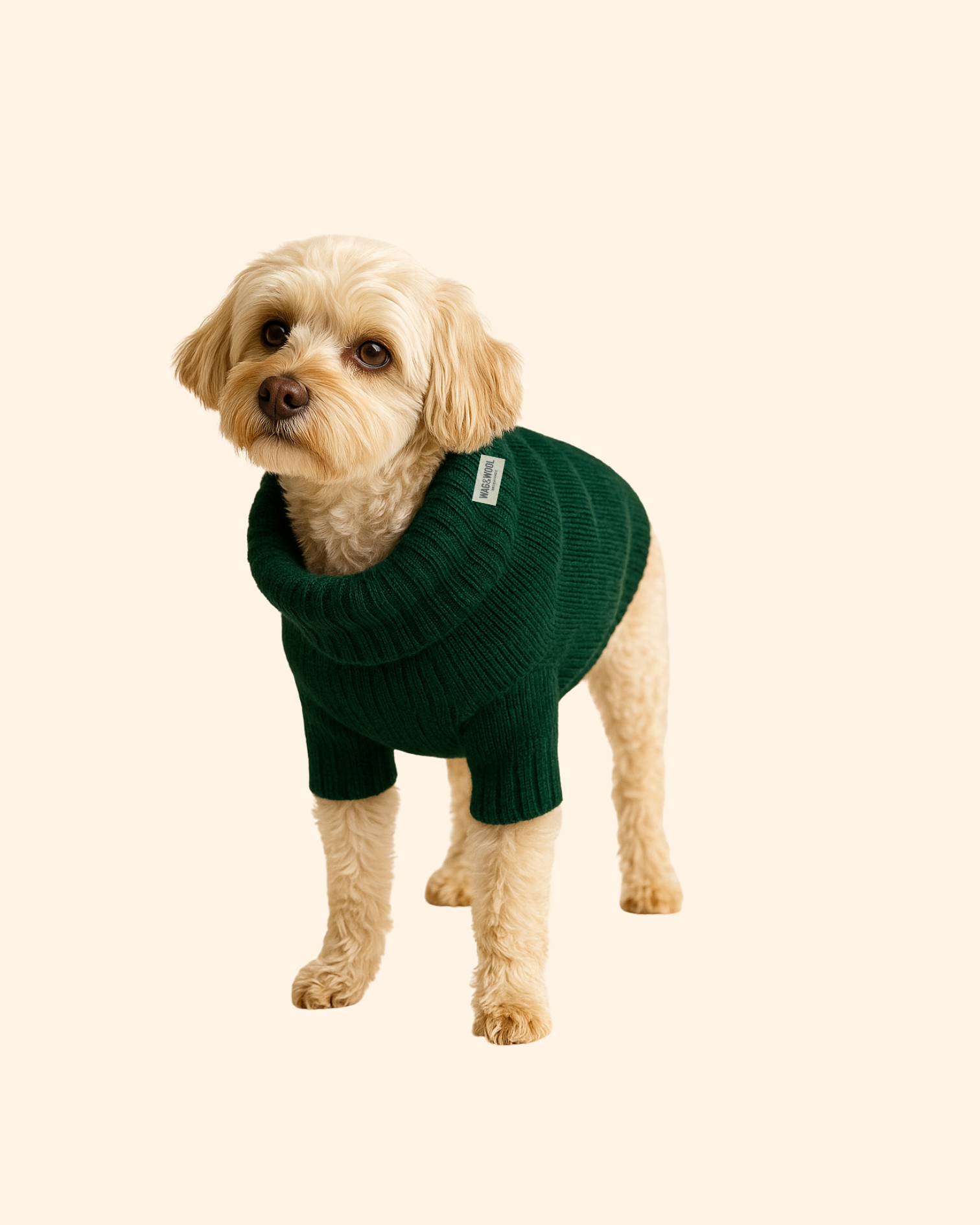 Forest green dog jumper on a dog