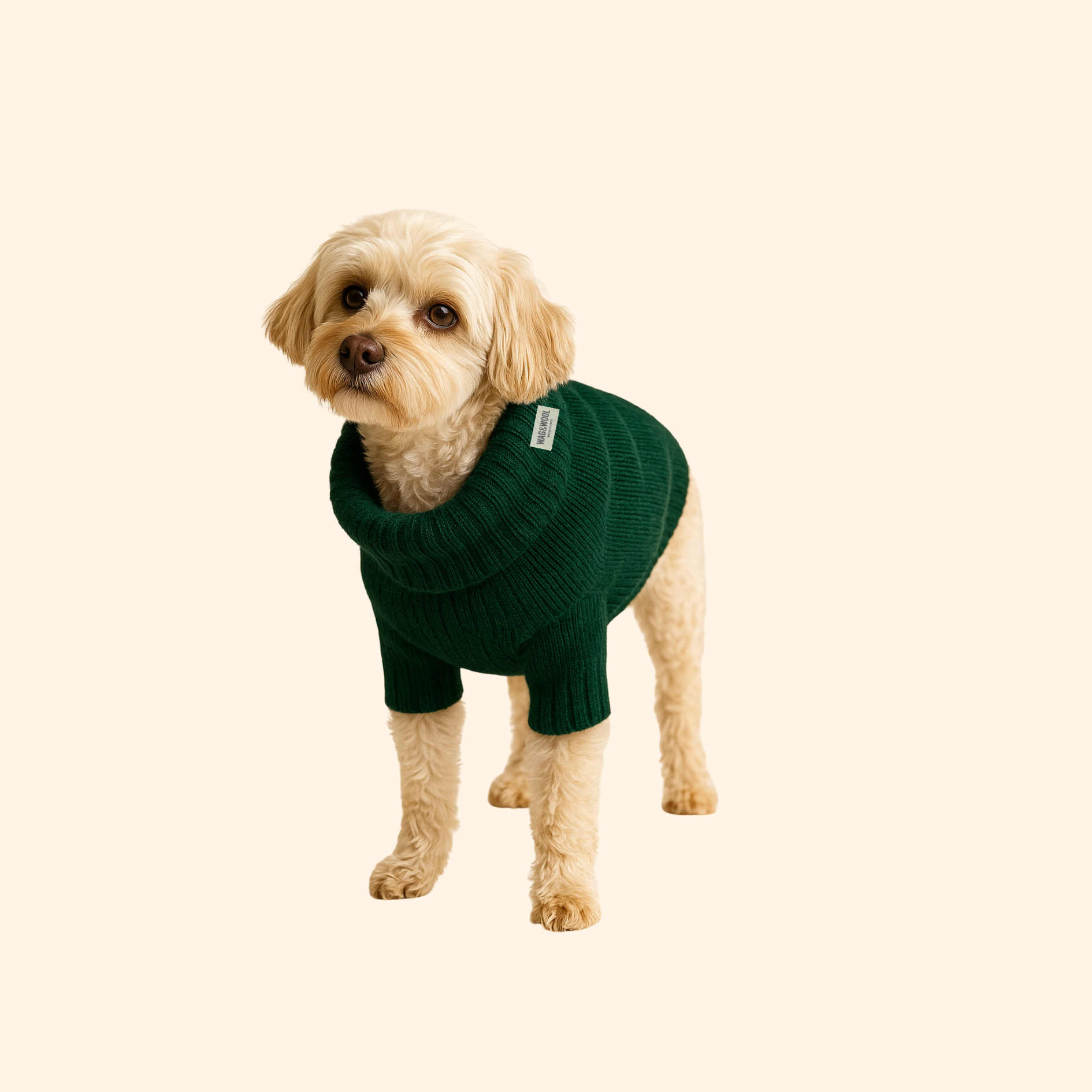 Forest green dog jumper on a dog