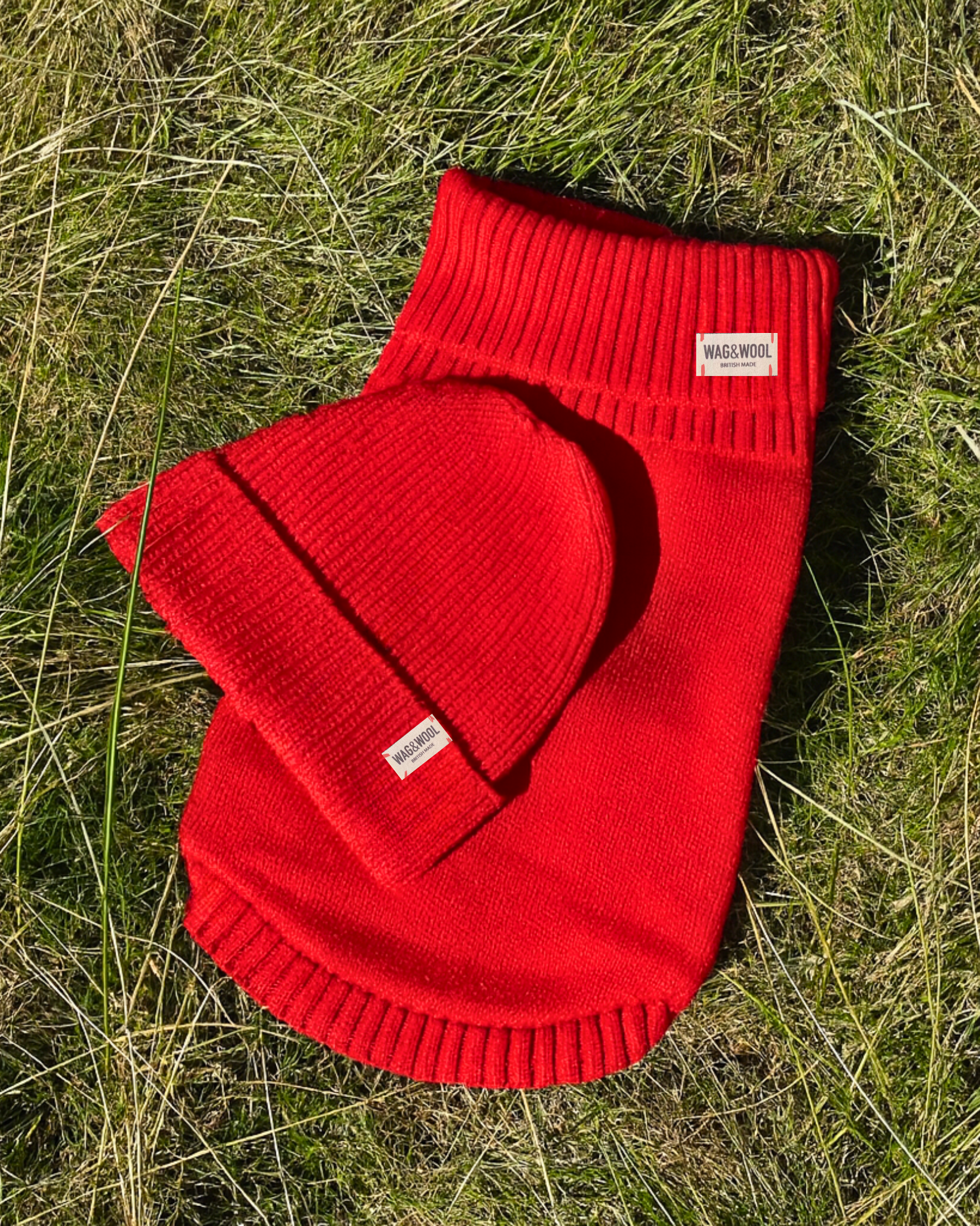 cherry red dog jumper and matching beanie hat