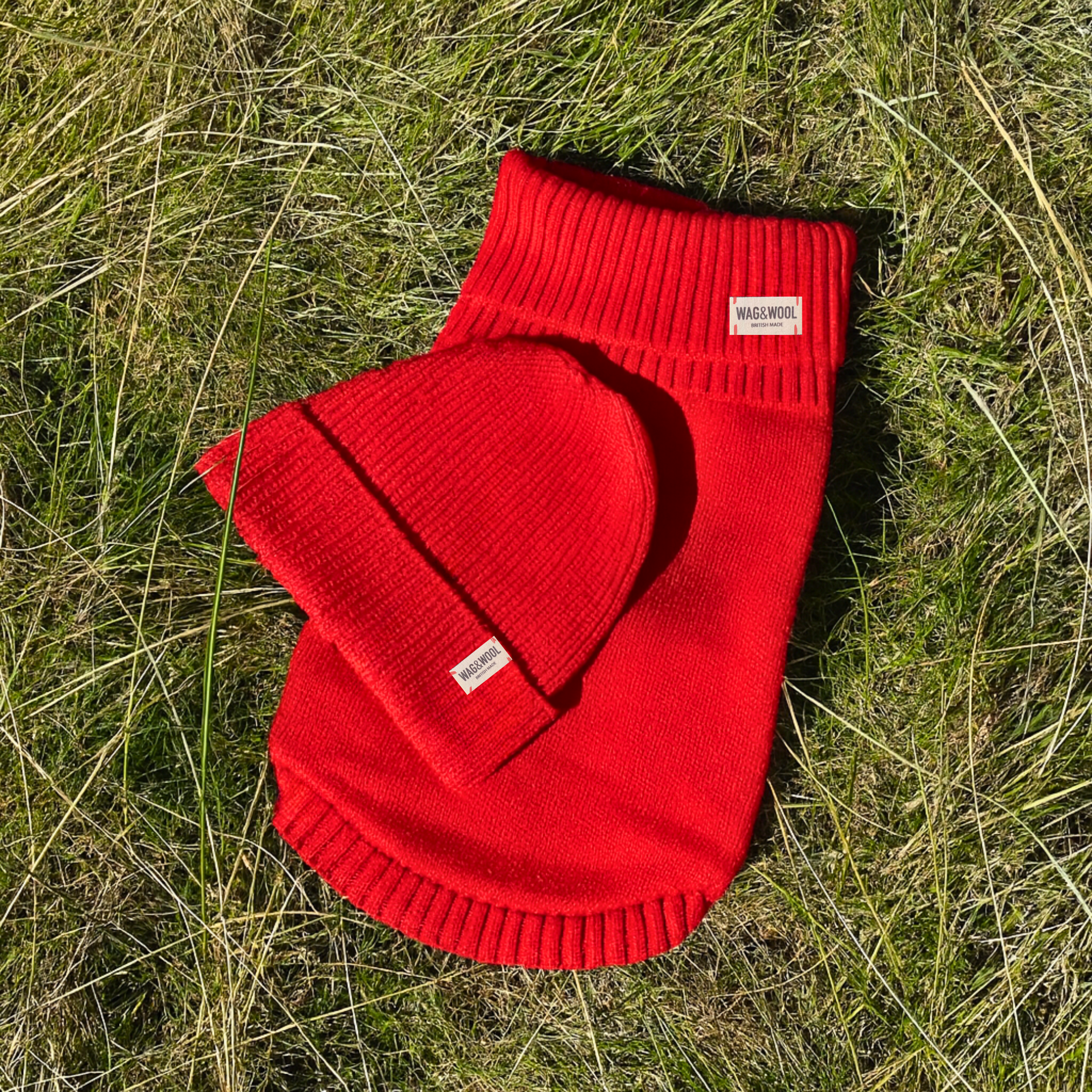 cherry red dog jumper and matching beanie hat