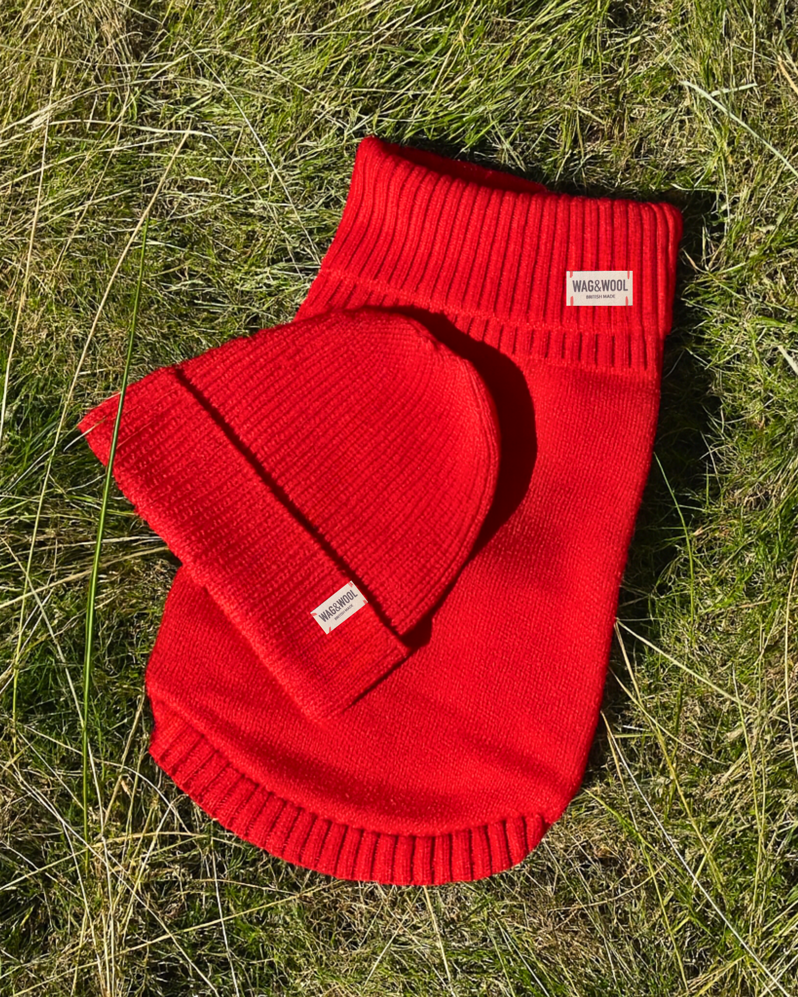 cherry red dog jumper and matching beanie hat