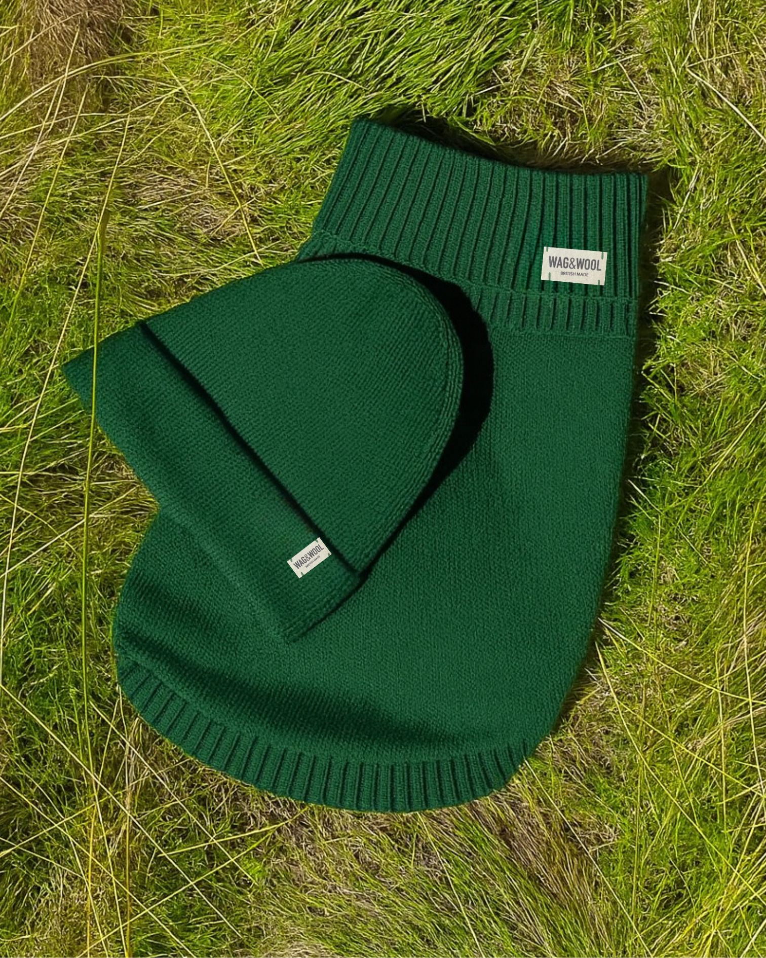 forest green dog jumper and matching beanie hat