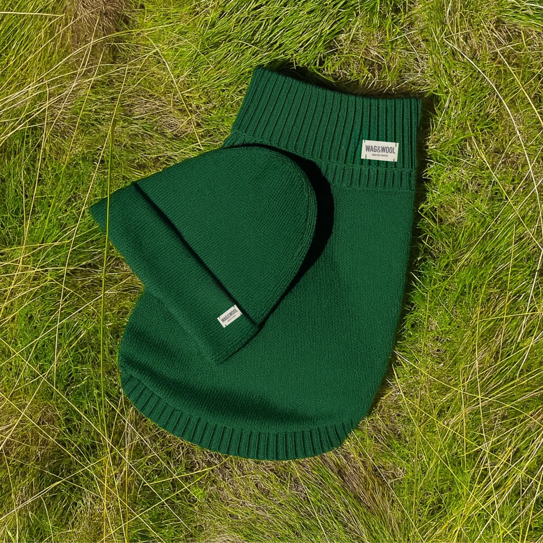 forest green dog jumper and matching beanie hat