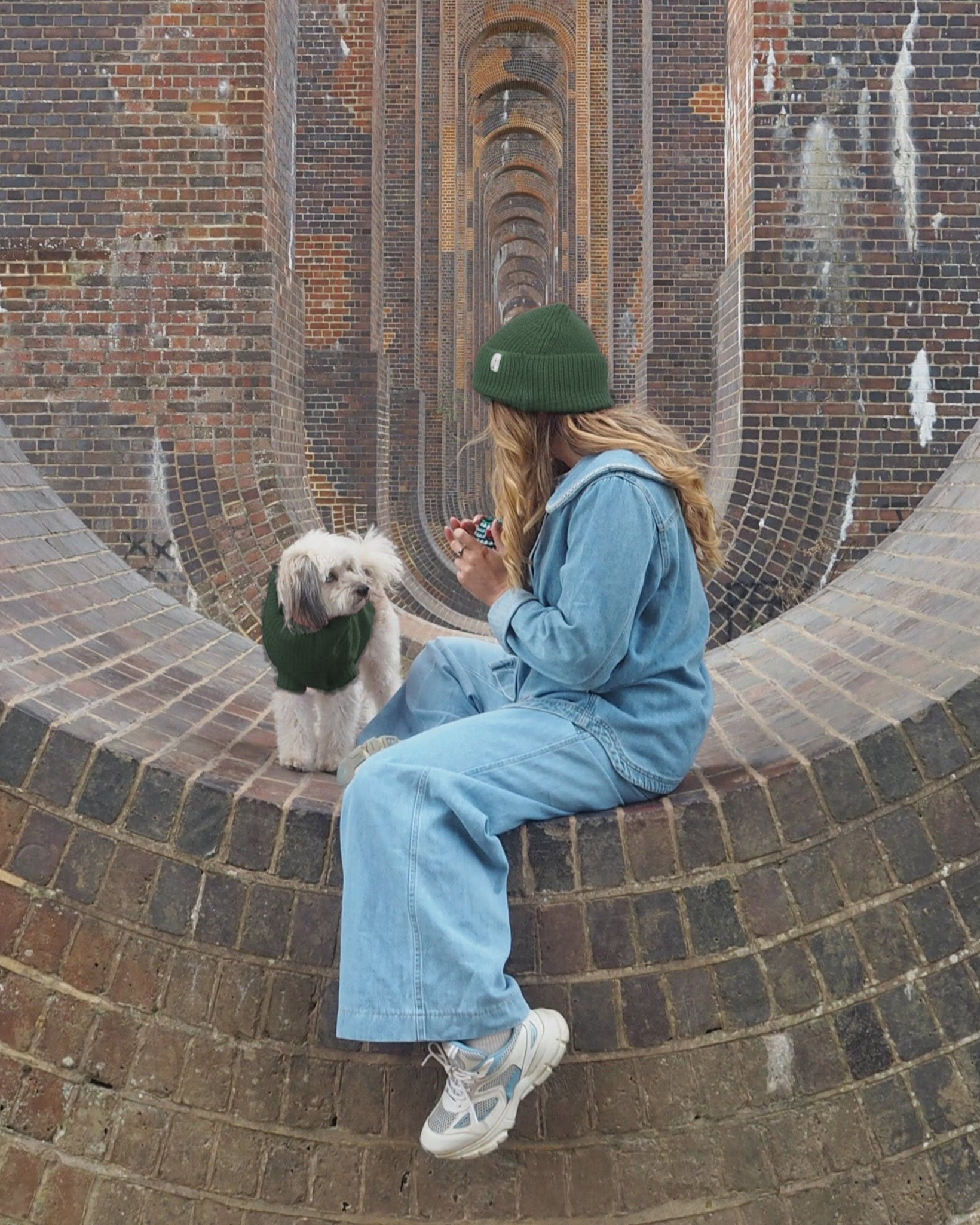 british wool dog jumper and matching beanie hat
