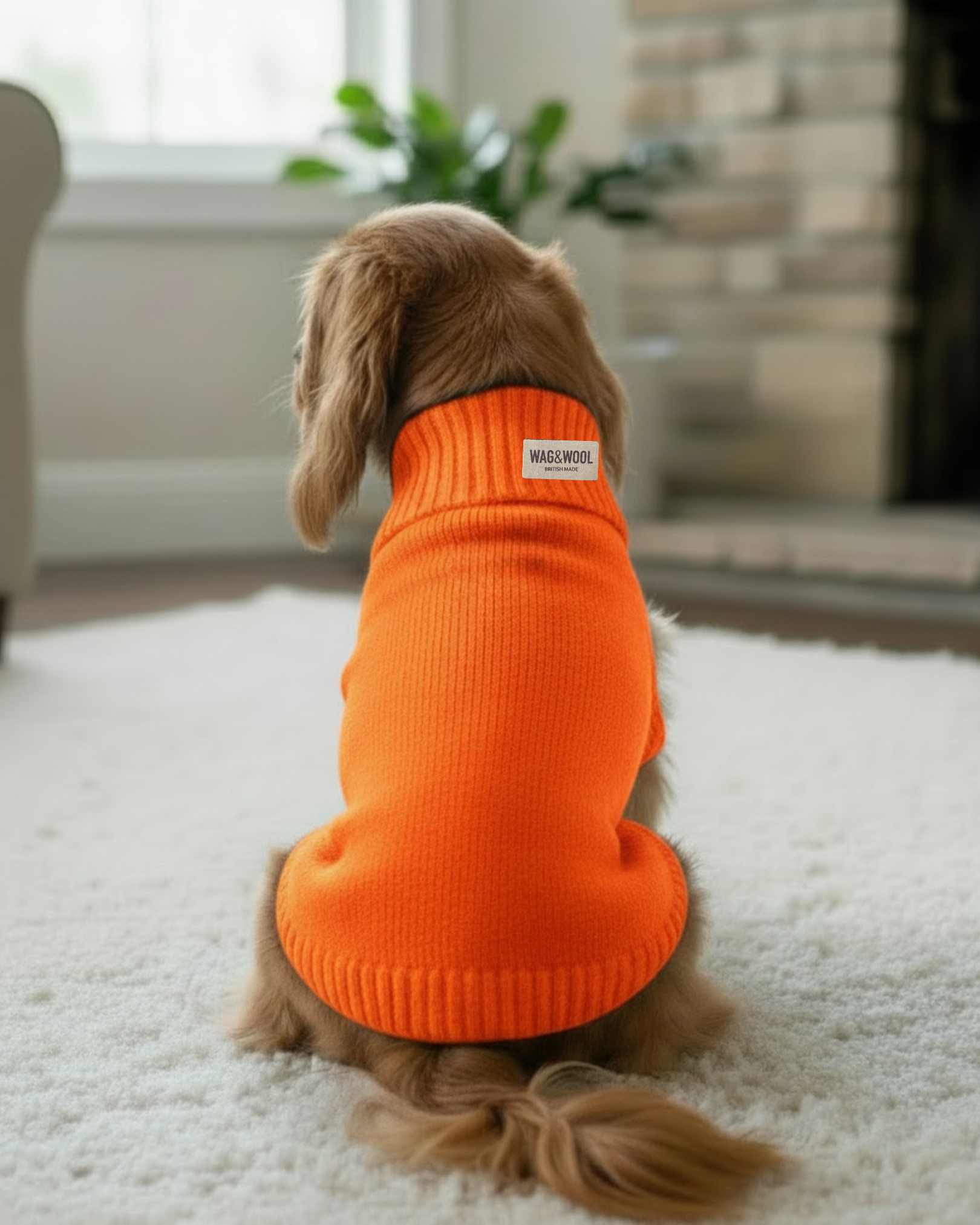 Dog wearing an orange sweater with a brand label in a living room setting.