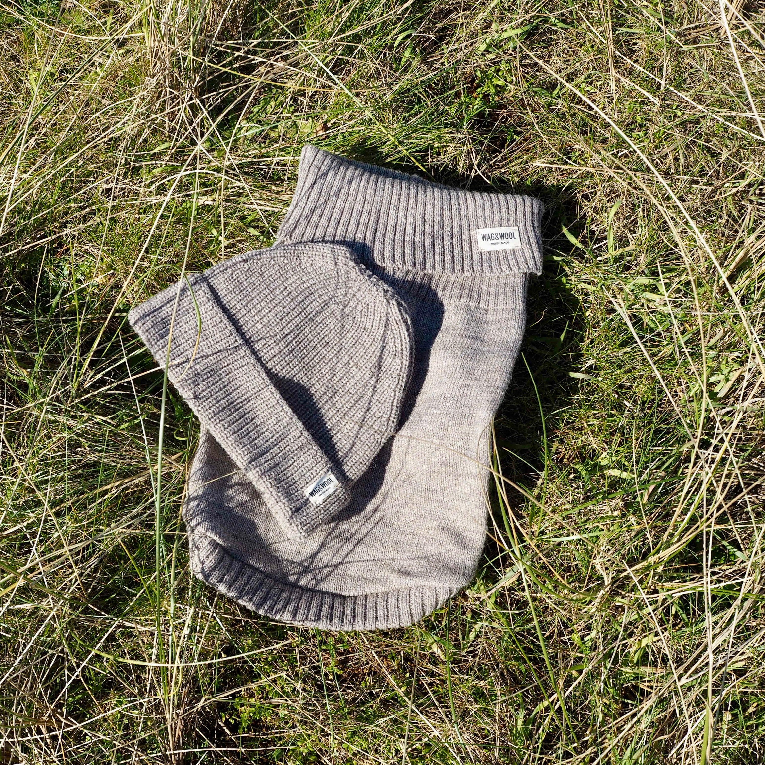 oatmeal dog and owner matching set