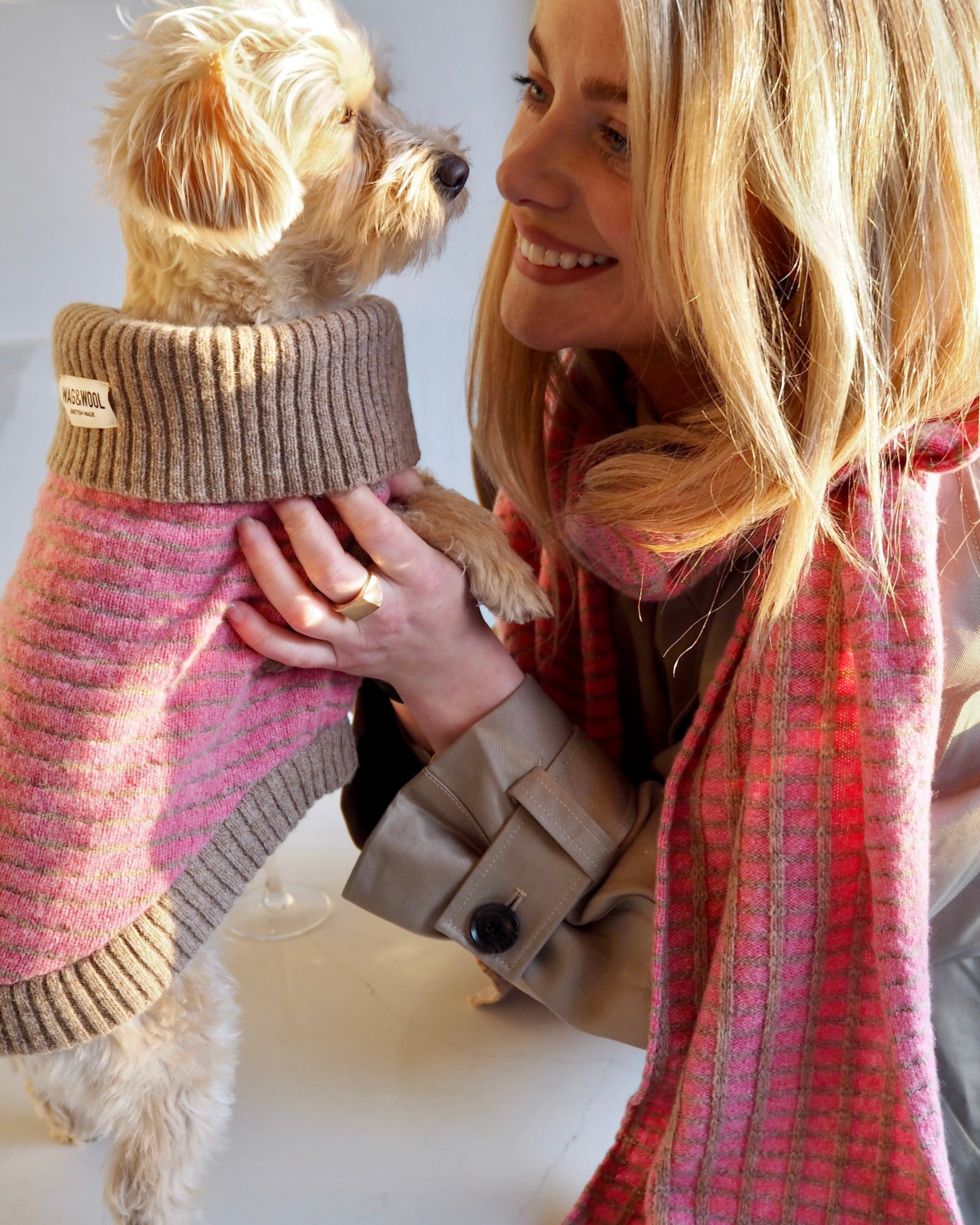 pink dog jumper and matching scarf model