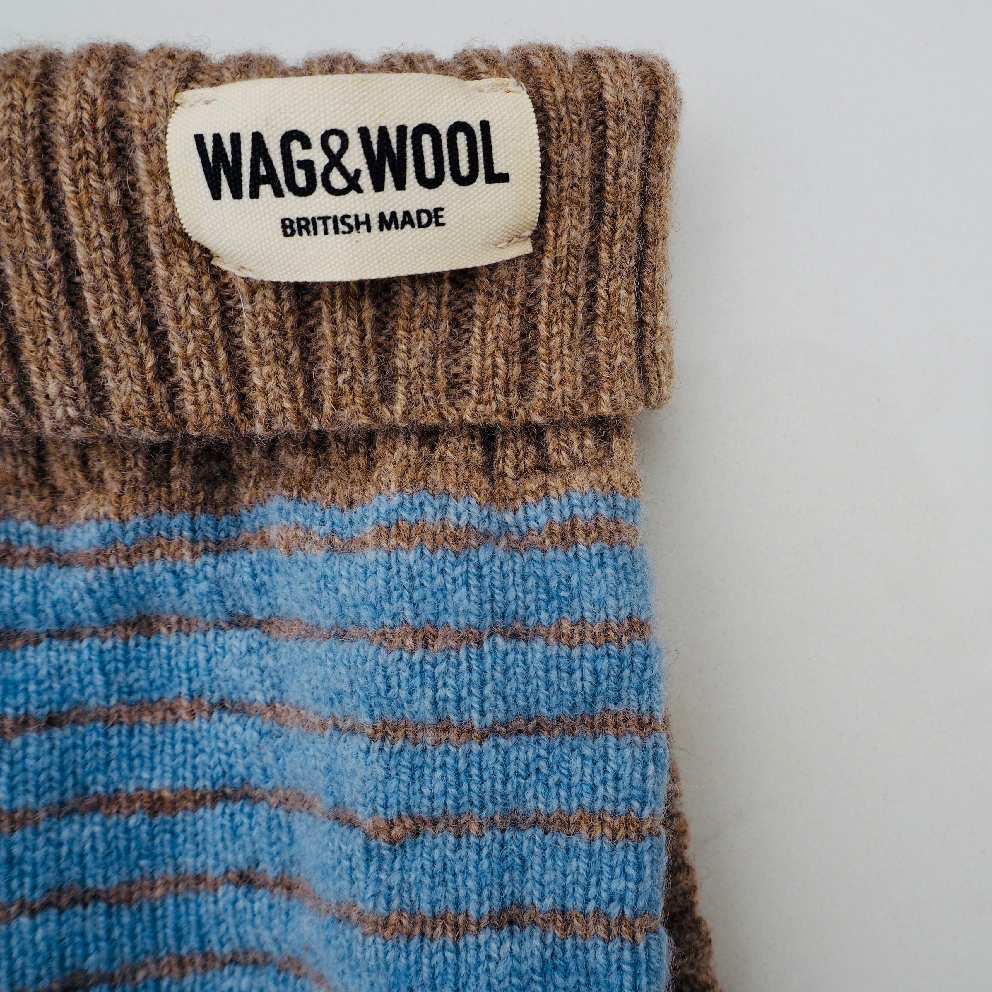 puppy jumper closeup