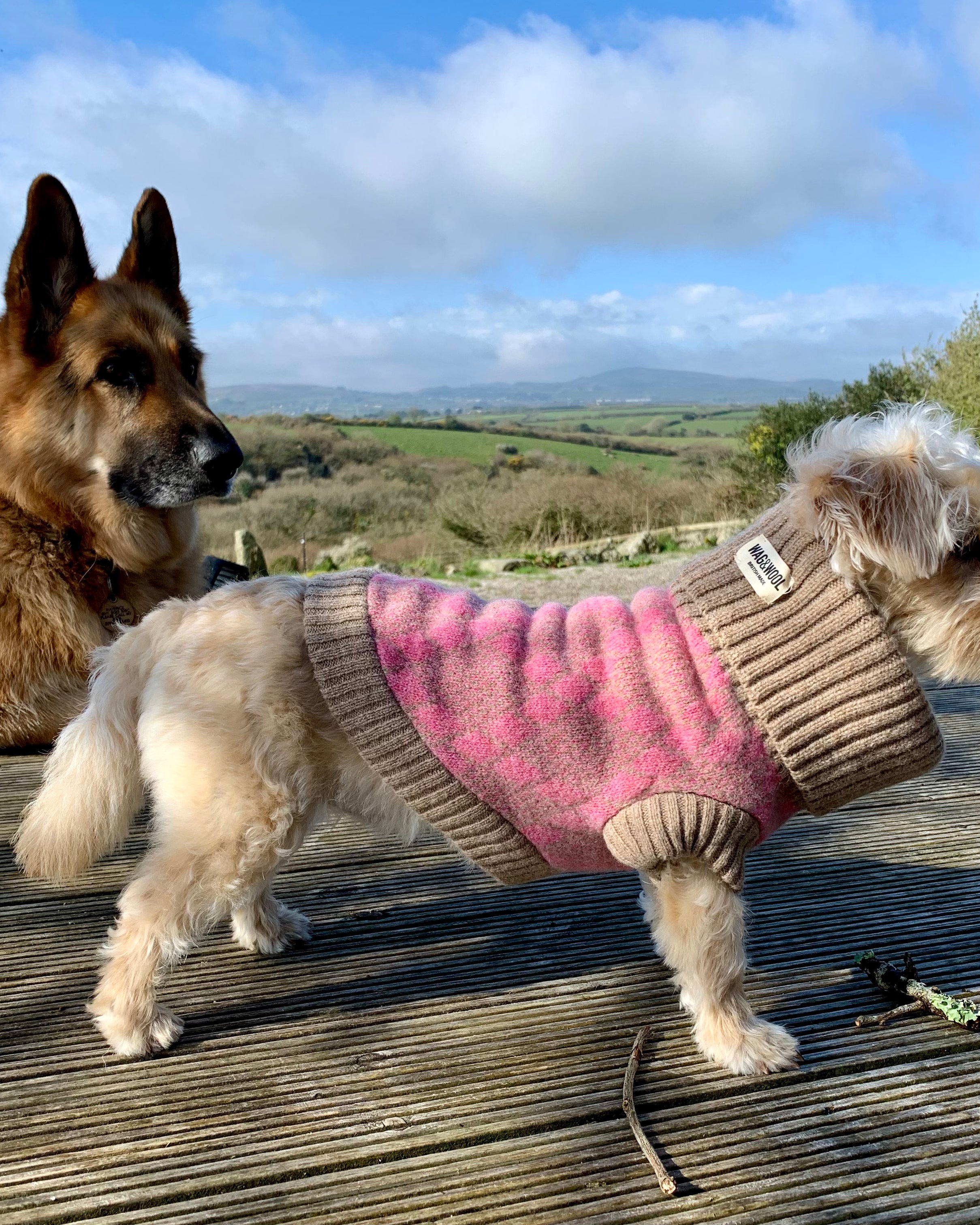 pink argyle dog jumper