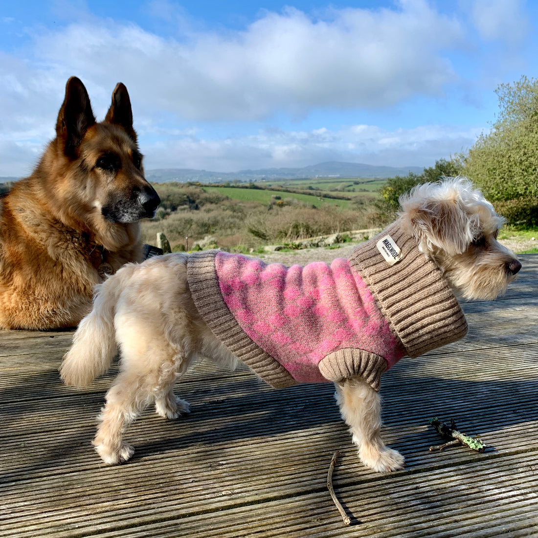 pink argyle dog jumper
